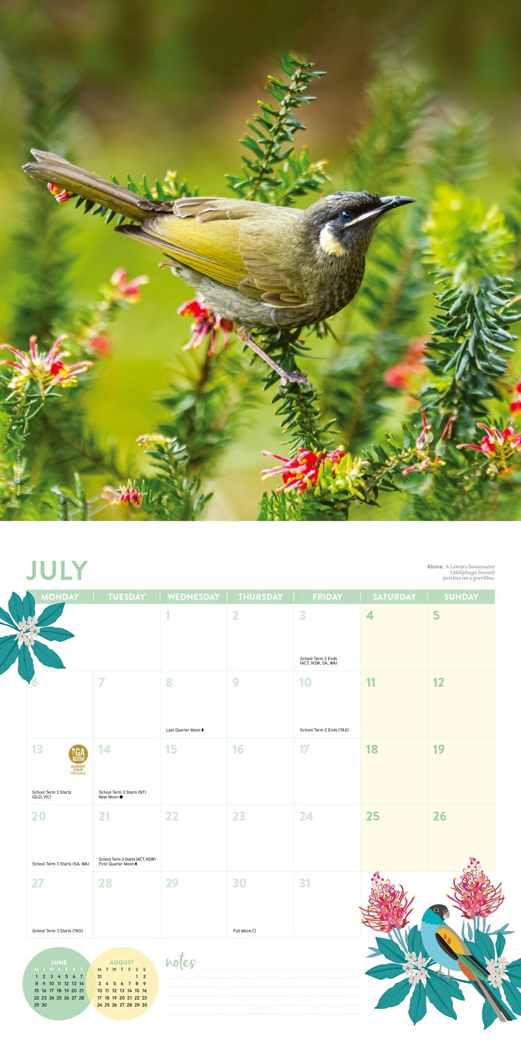 2026 ABC Gardening Australia - Square Wall Calendar