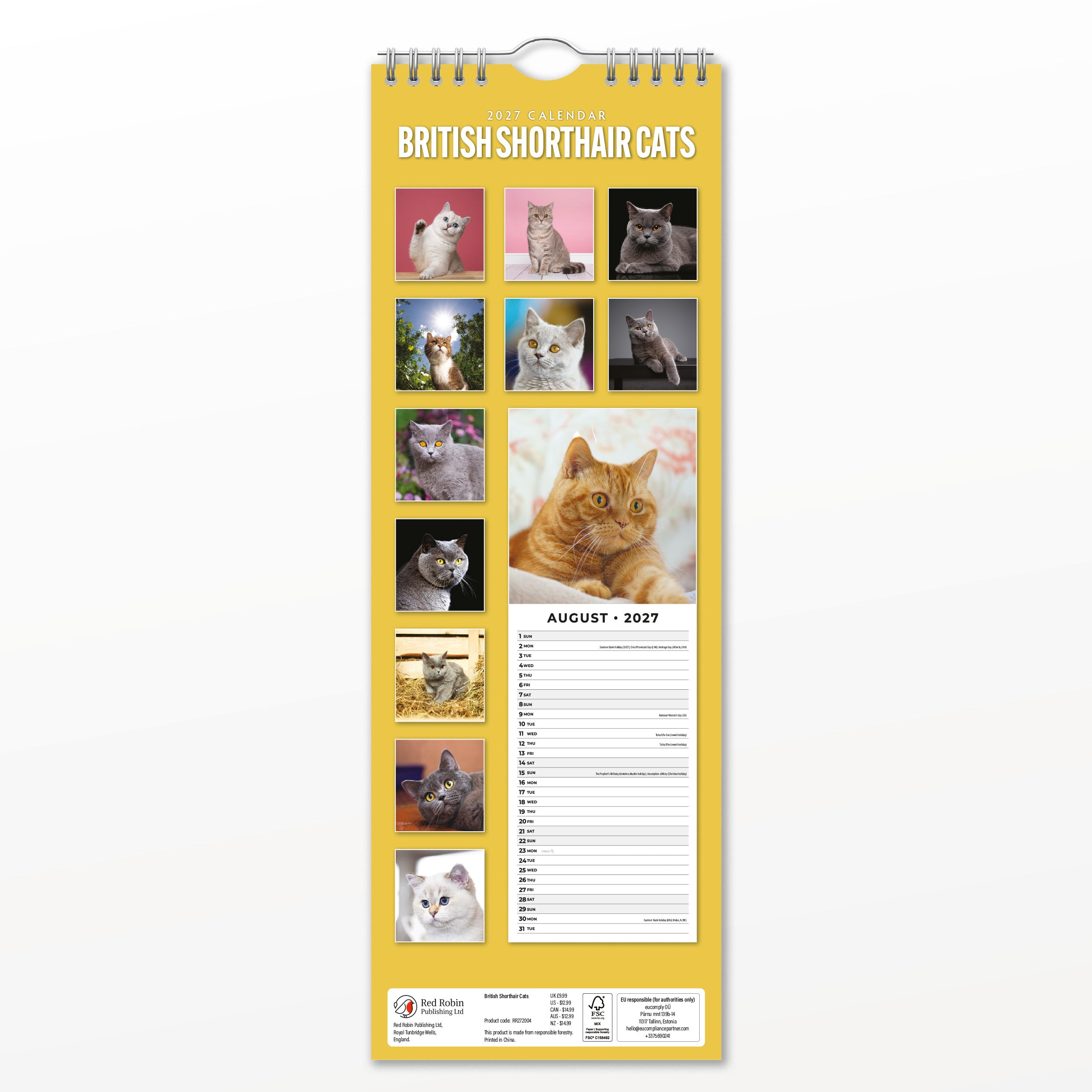 2027 British Shorthair Cats - Slim Wall Calendar