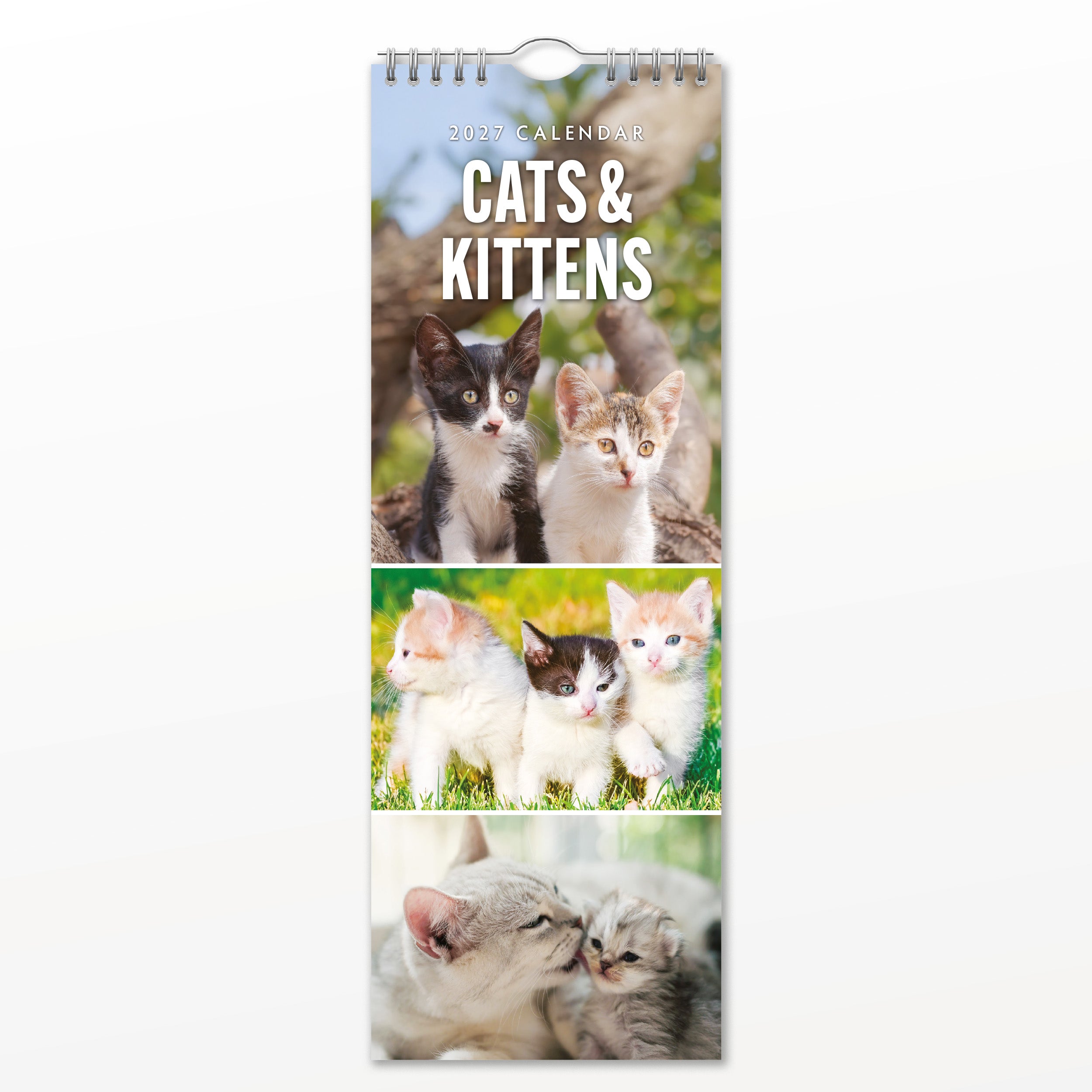 2027 Cats & Kittens - Slim Wall Calendar