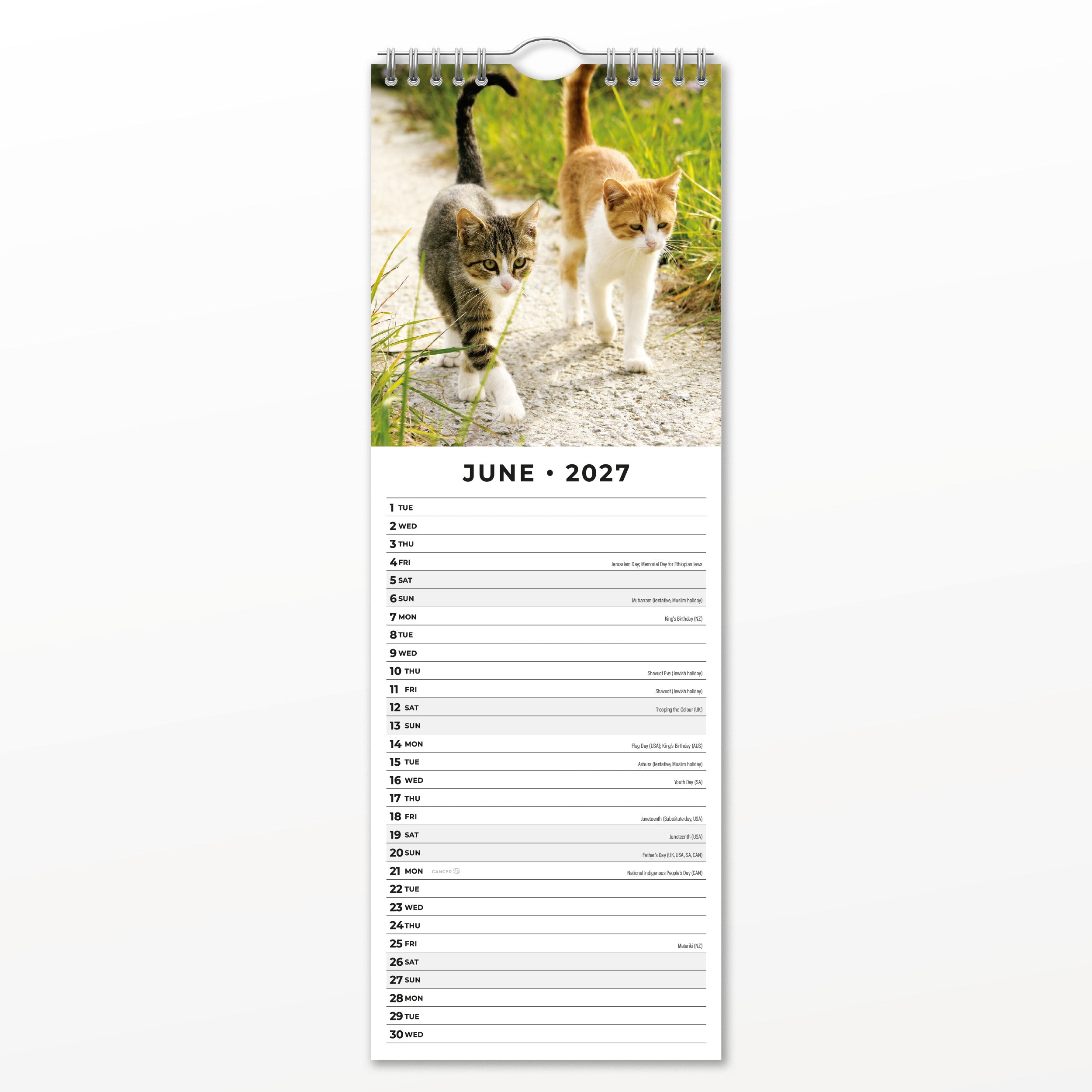 2027 Cats & Kittens - Slim Wall Calendar