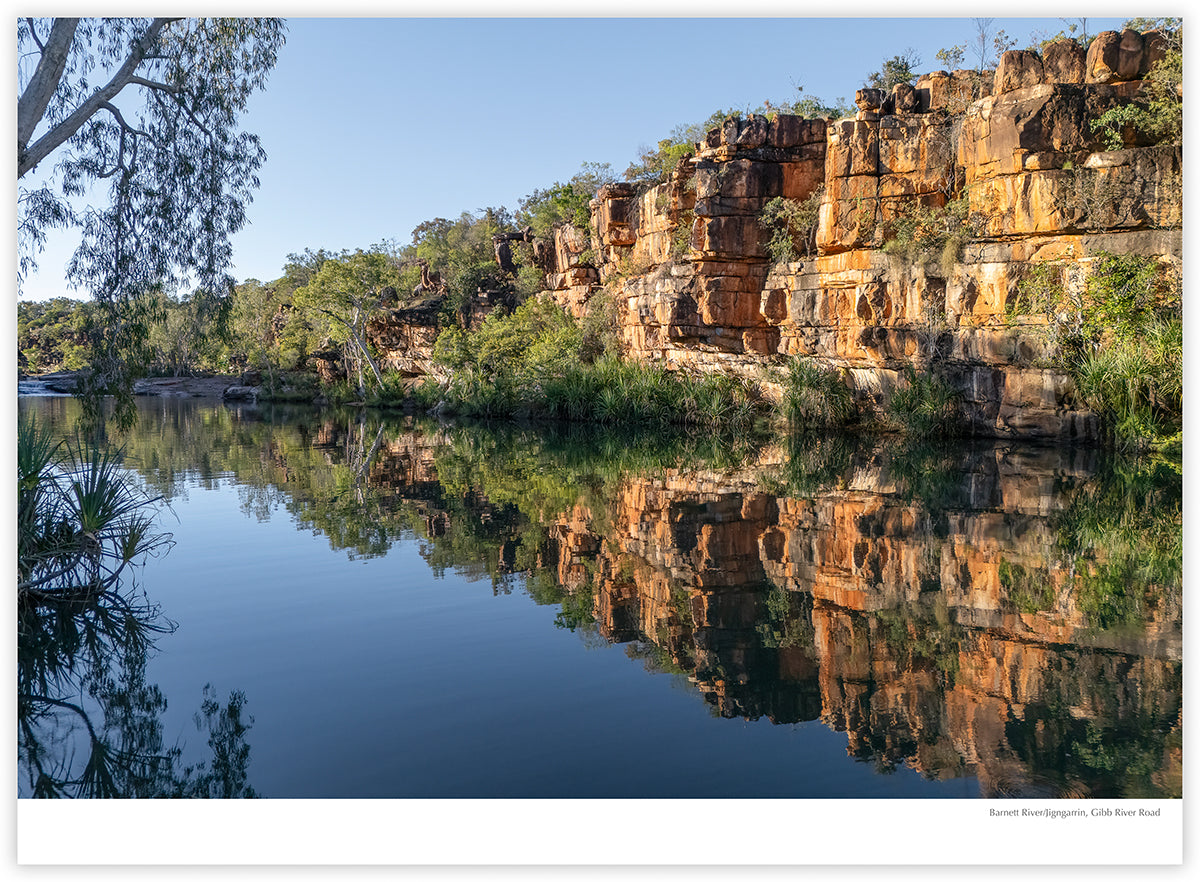 The Kimberley 2027 calendar photograph: Barnett River reflections on the Gibb River Road