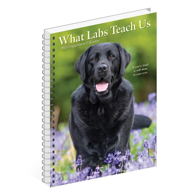 2025 What Labs Teach Us - Weekly Diary/Planner