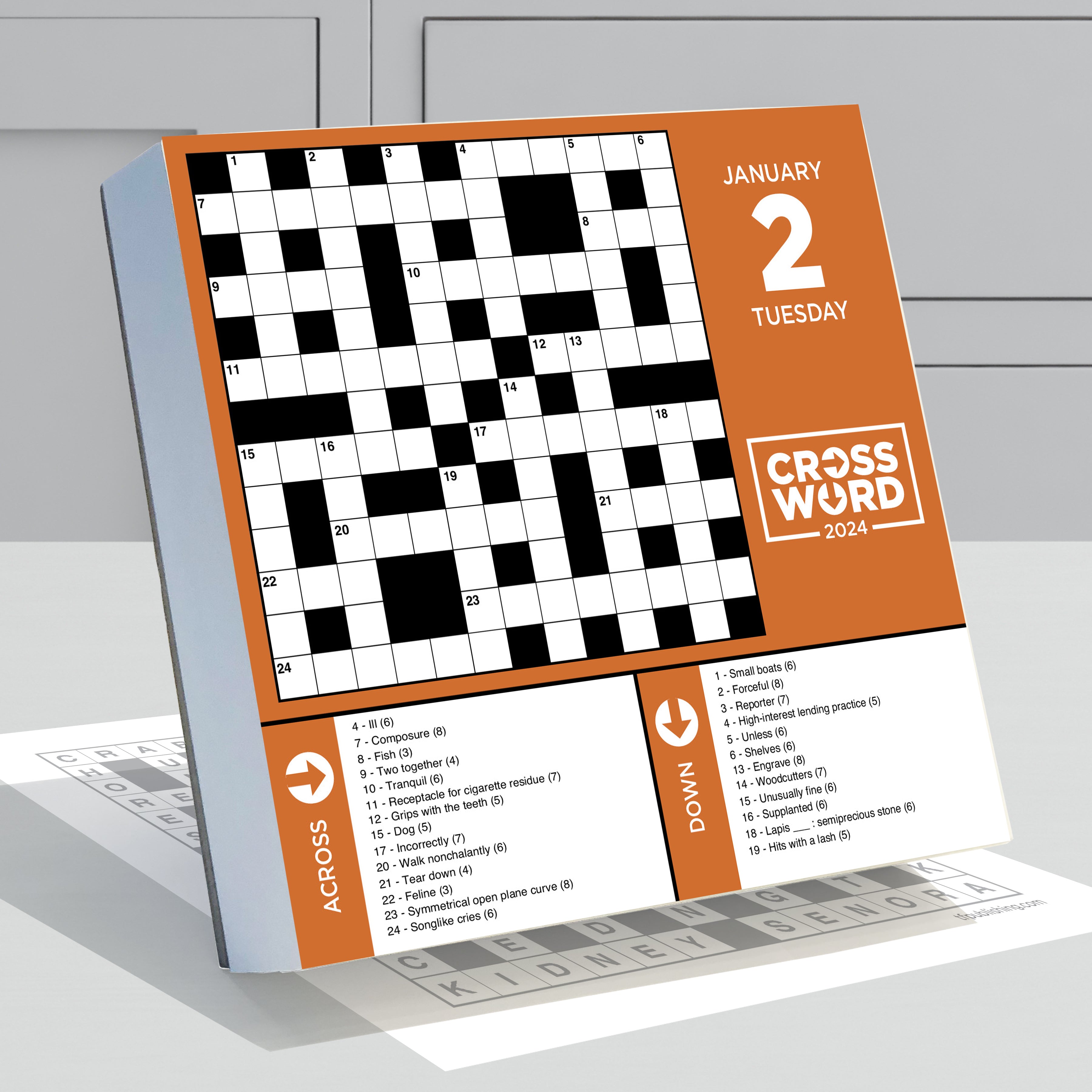 2024 Crossword Puzzles Daily Boxed PageADay Kids & Games