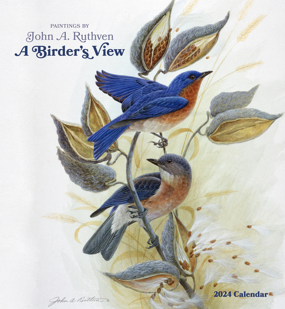 2024 A Birder's View: Paintings by John A. Ruthven - Square Wall Calendar  SOLD OUT