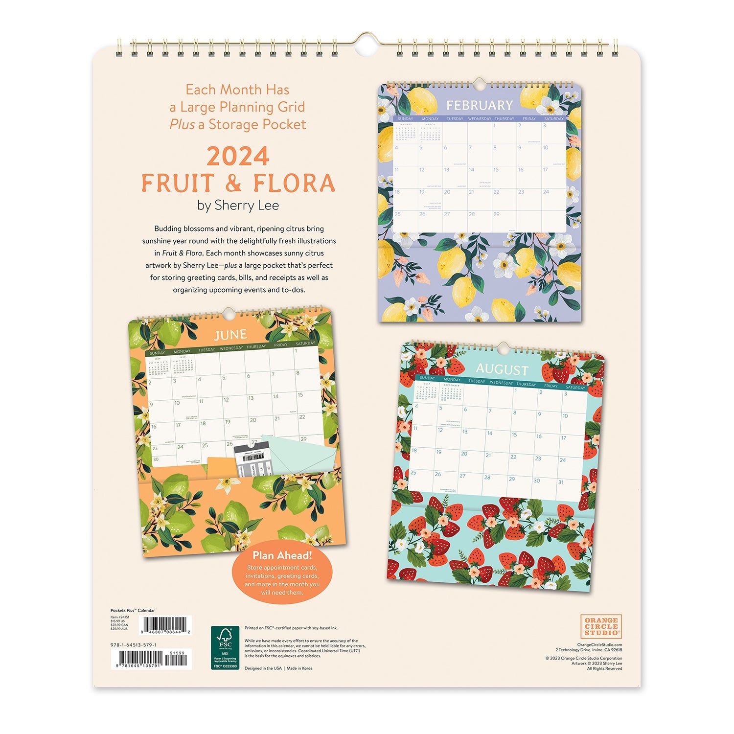 Pockets Plus Calendar 2025