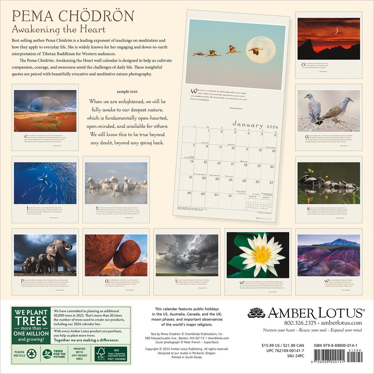 2024 Pema Chodron - Square Wall Calendar  SOLD OUT