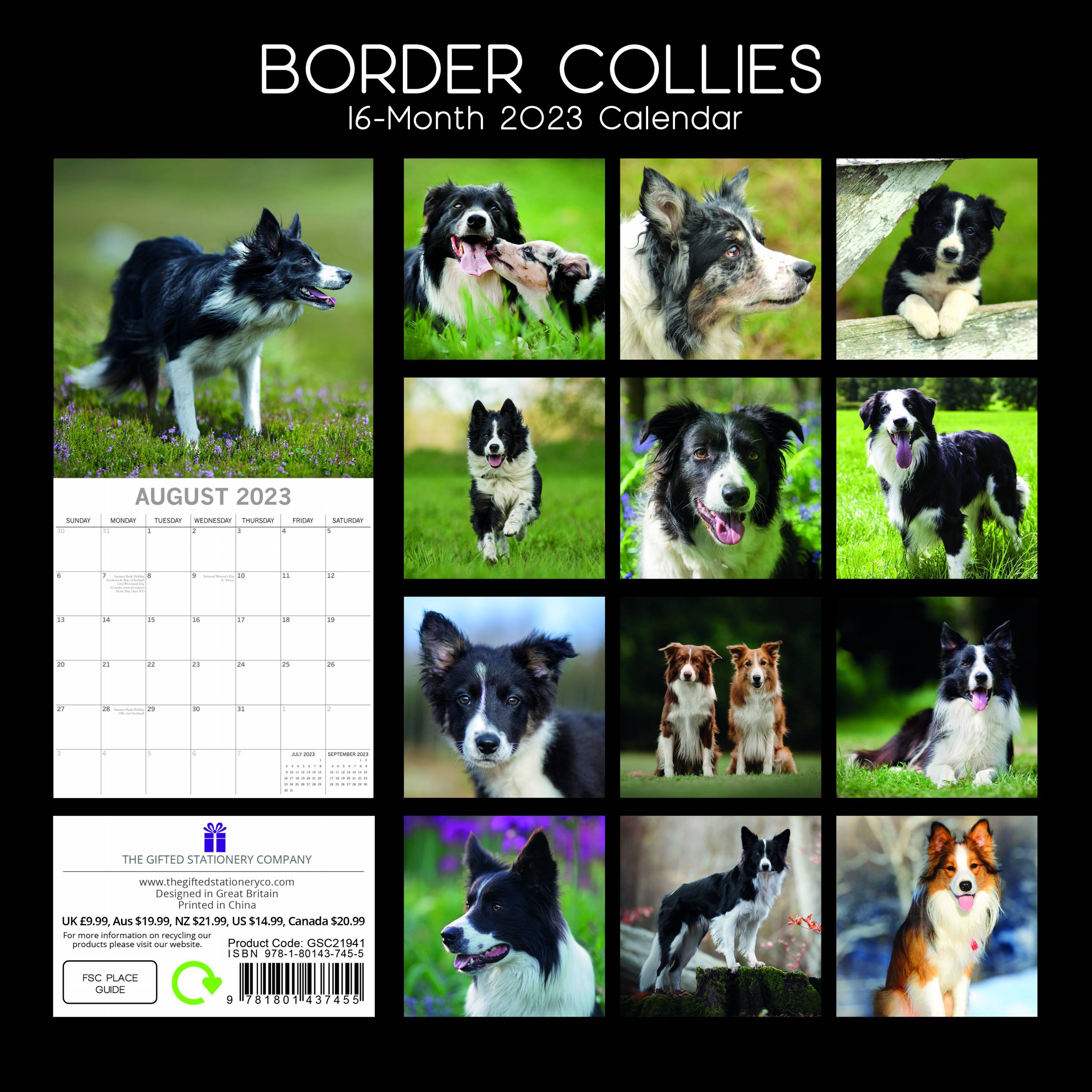 2023 Border Collies - Square Wall Calendar