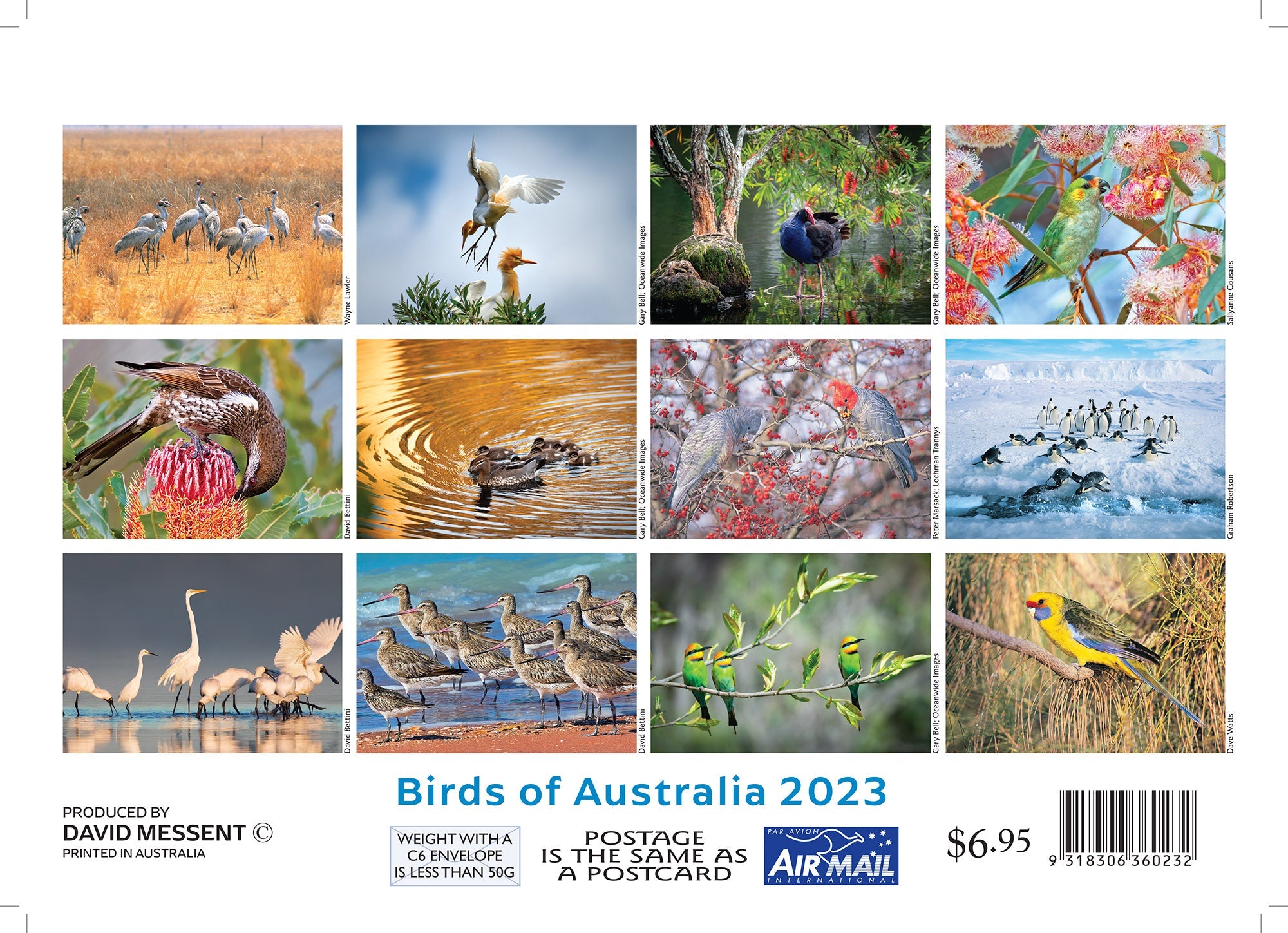 2023 Birds of Australia by David Messent - Mini Pocket Calendar