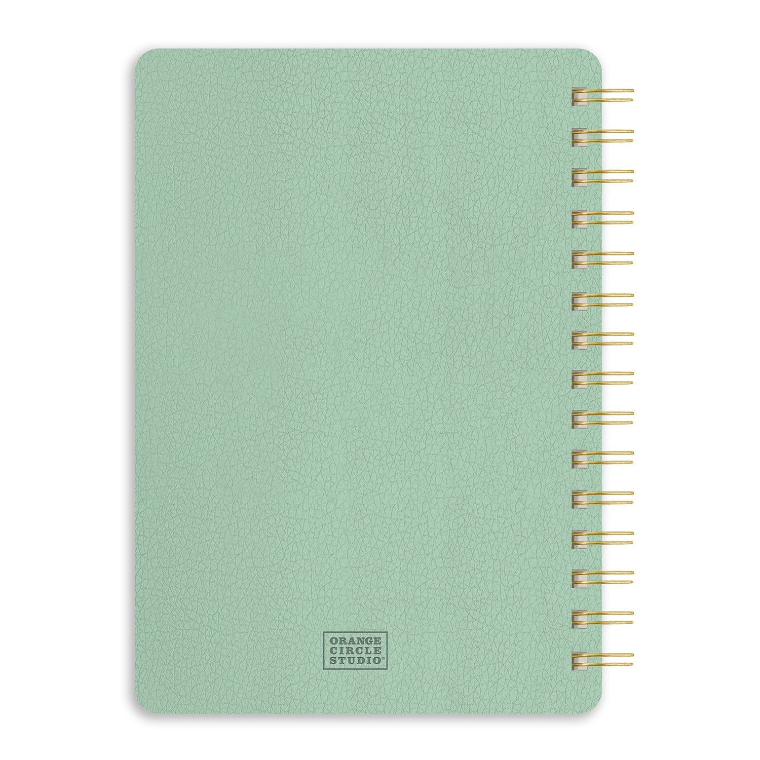 2024 Pistachio - Agatha Monthly & Weekly Diary/Planner  SOLD OUT