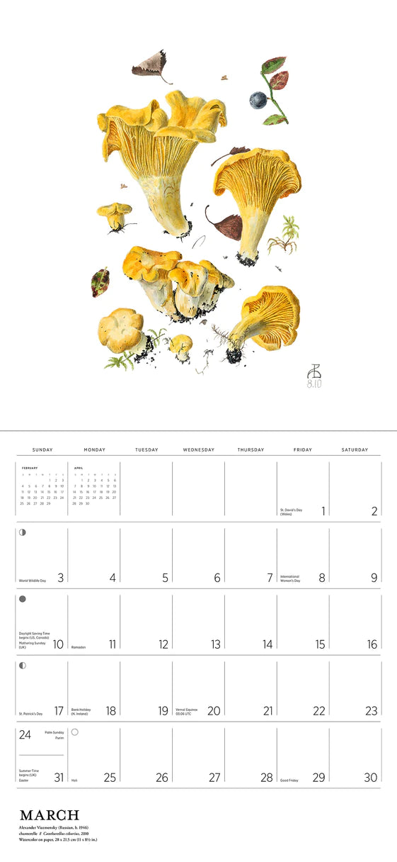 2024 Mushrooms: Alexander Viazmensky - Square Wall Calendar  SOLD OUT