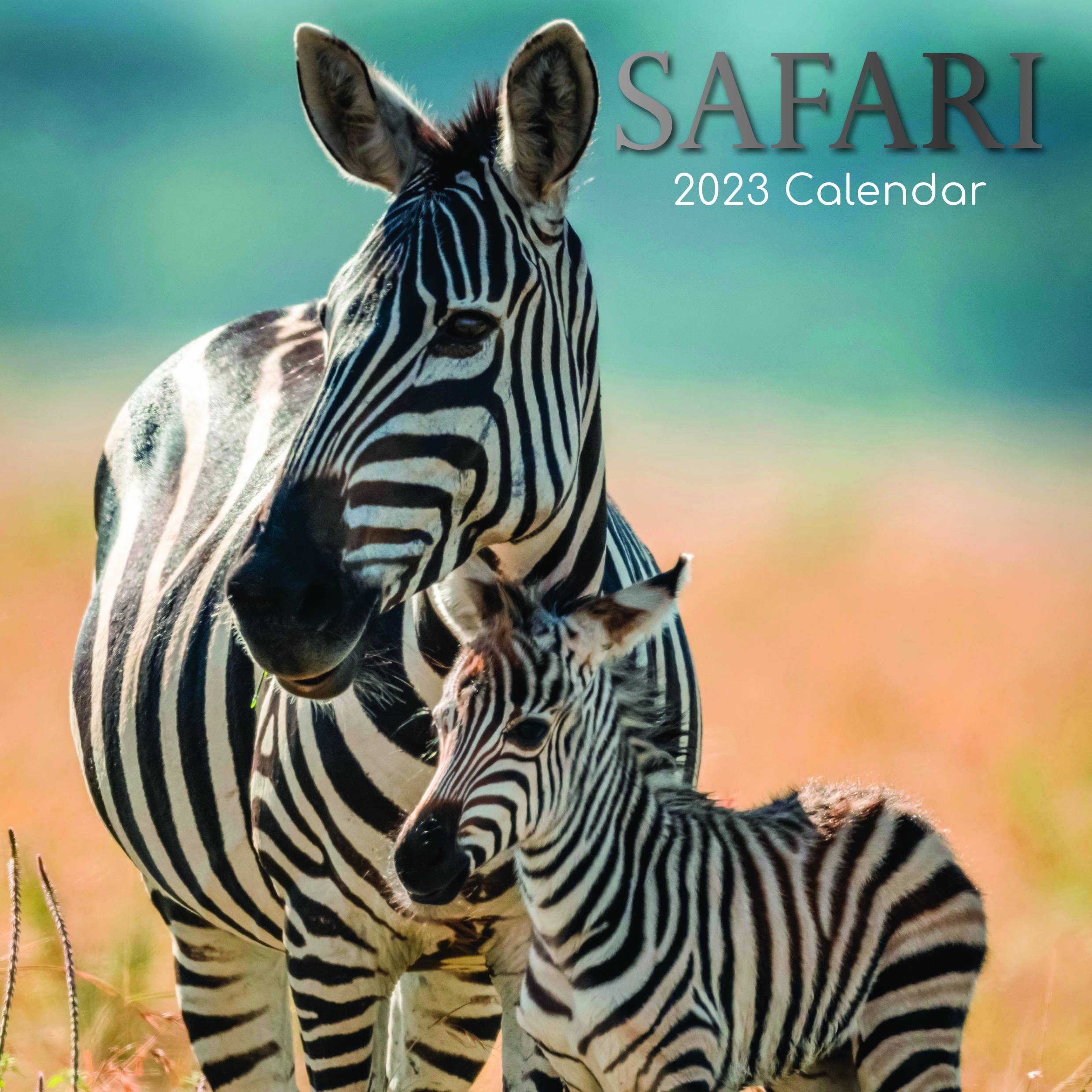2023 Safari - Square Wall Calendar
