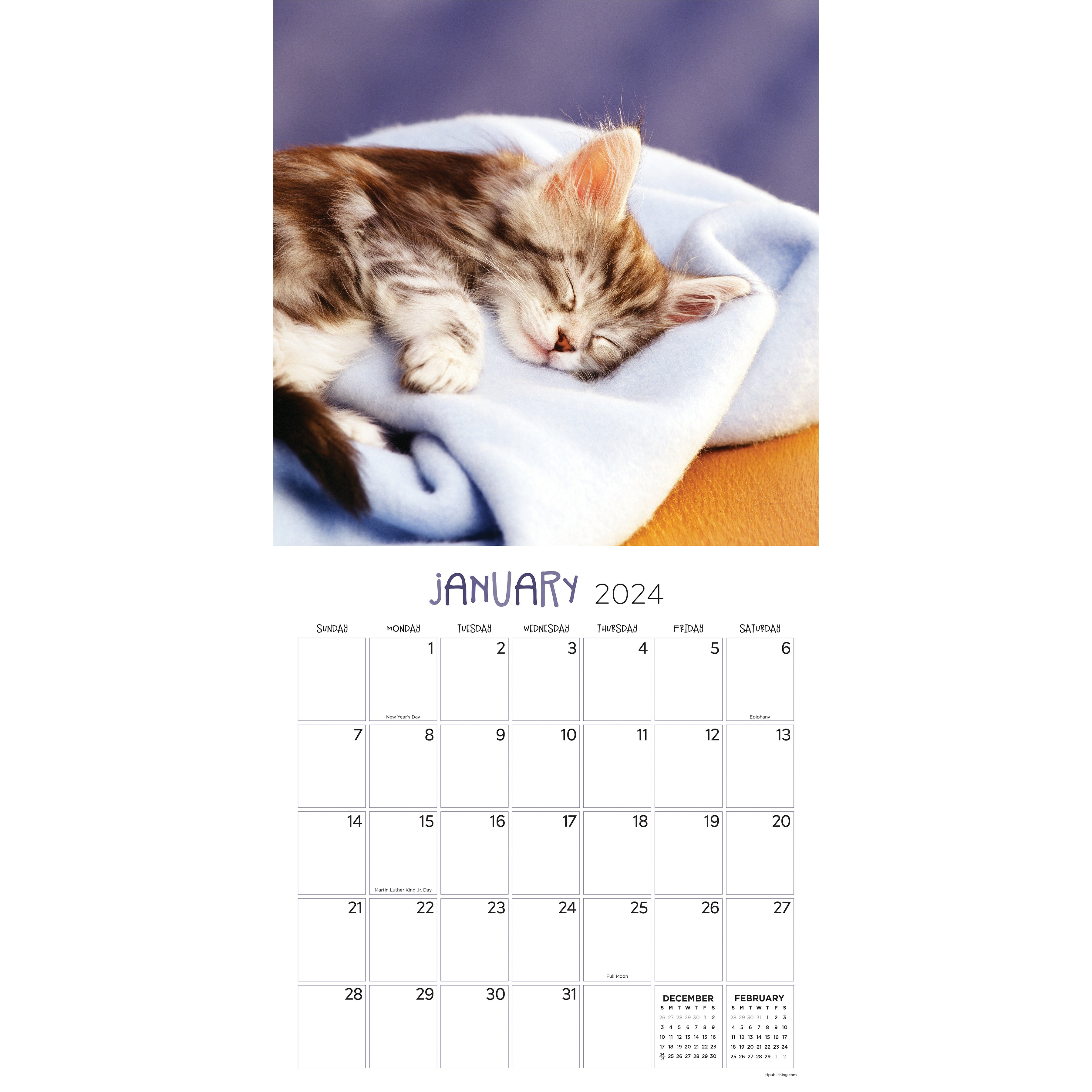 2024 Cat Dreams Square Wall Calendar Cats & Kittens Calendars by