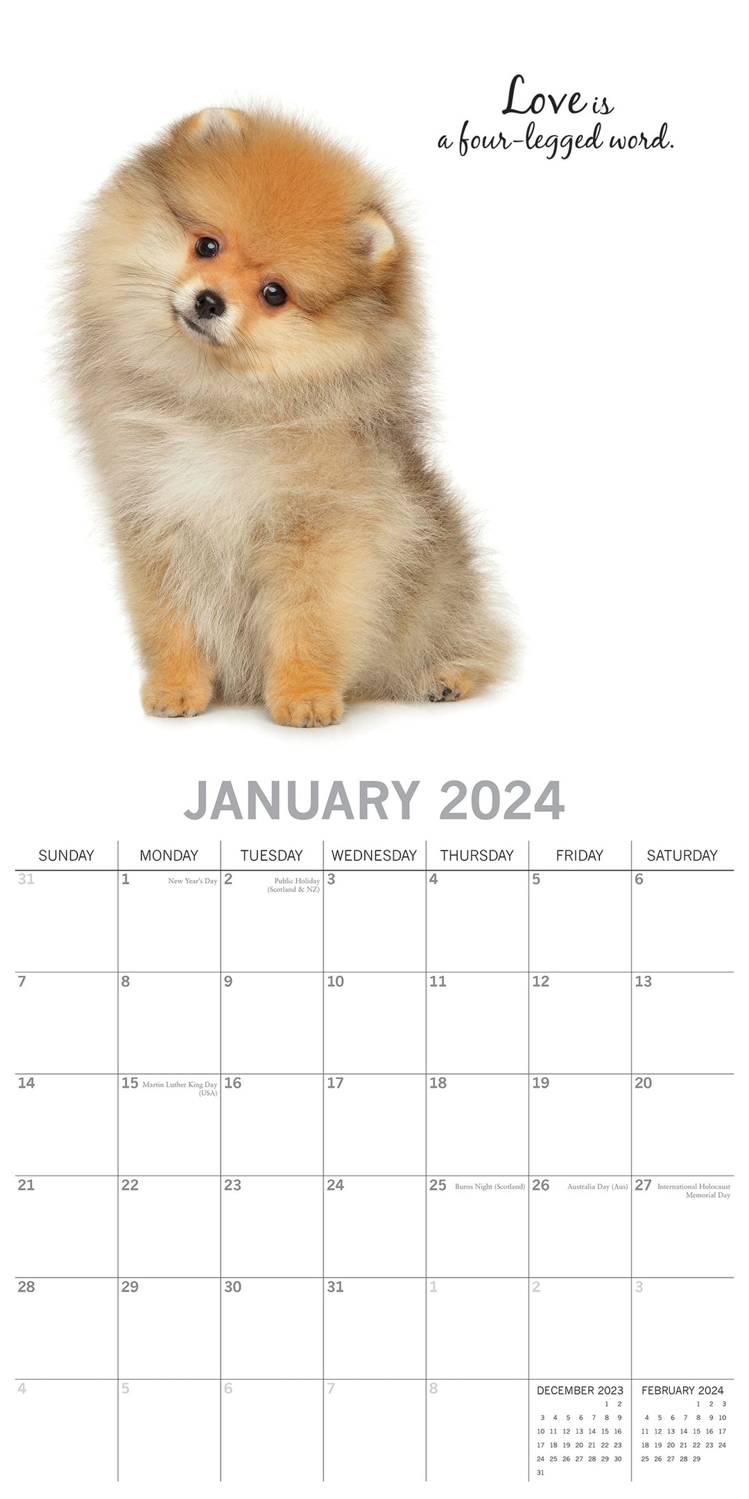 2024 Adorable Dogs Square Wall Calendar Dogs & Puppies Calendars