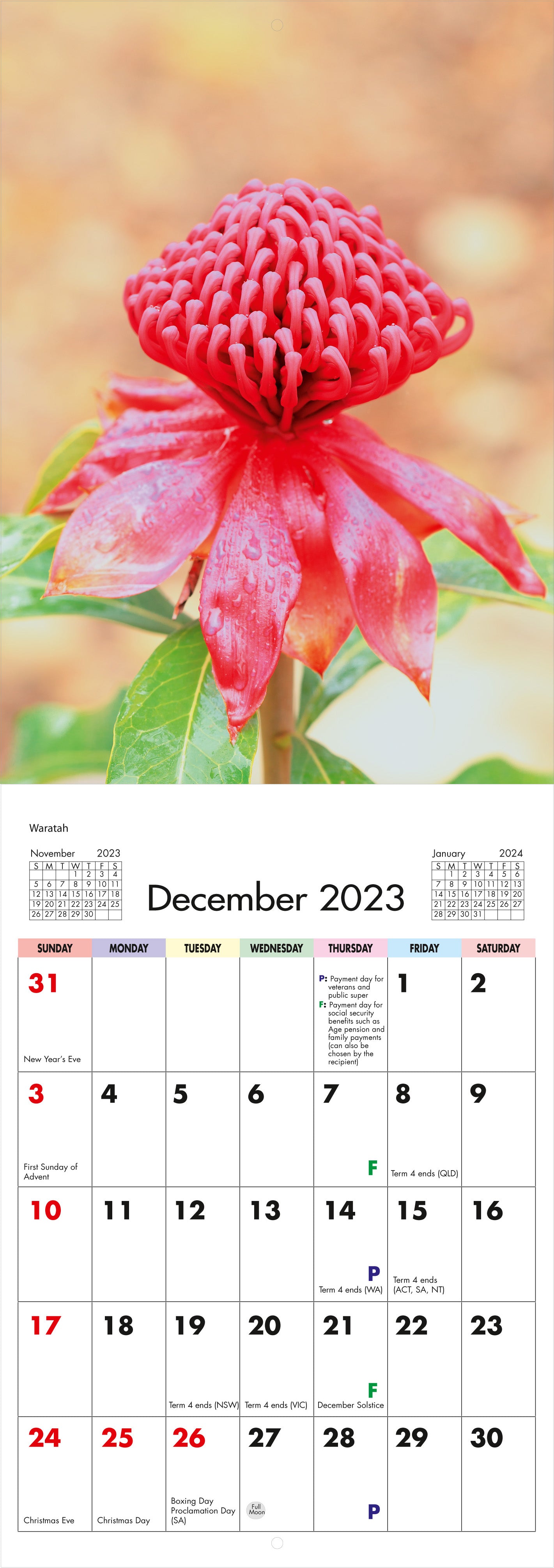 2023 Flora Of Australia - Slim Wall Calendar
