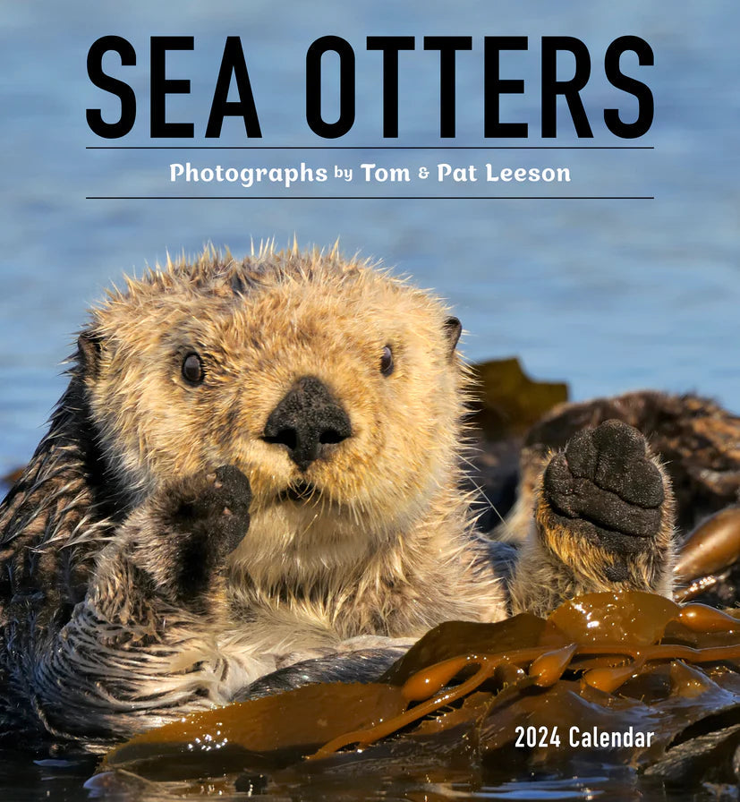 2024 Sea Otters: Photographs by Tom and Pat Leeson - Square Wall Calendar  SOLD OUT