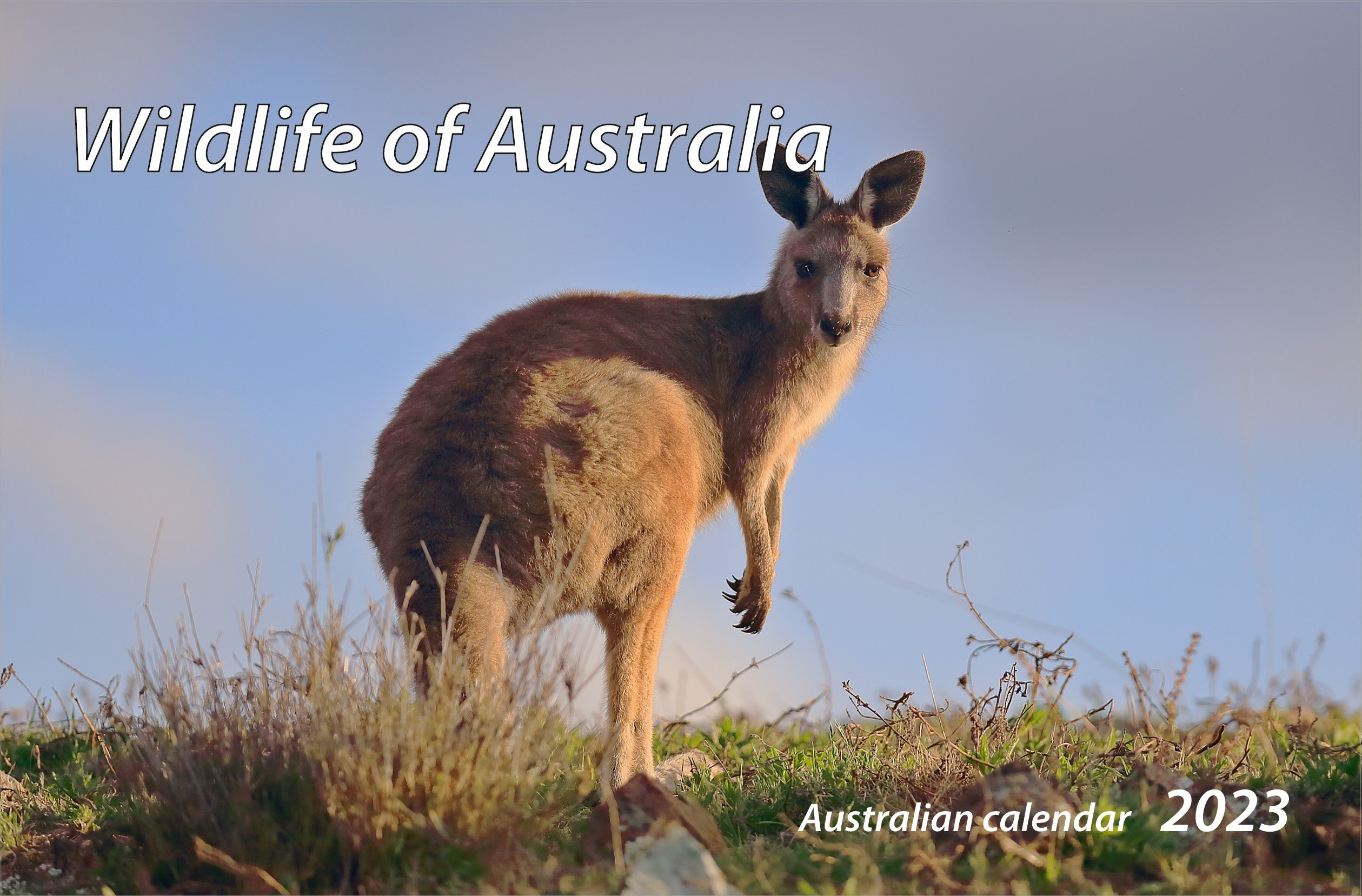 2023 Wildlife Of Australia - Desk Easel Calendar