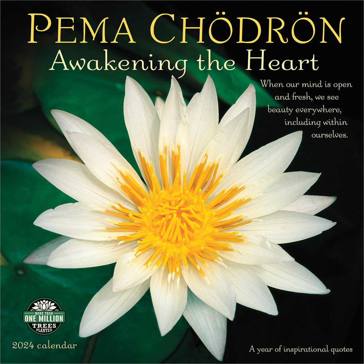 2024 Pema Chodron - Square Wall Calendar  SOLD OUT