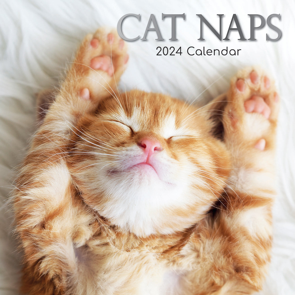 2024 Cat Naps Square Wall Calendar Cats & Kittens Calendars by The