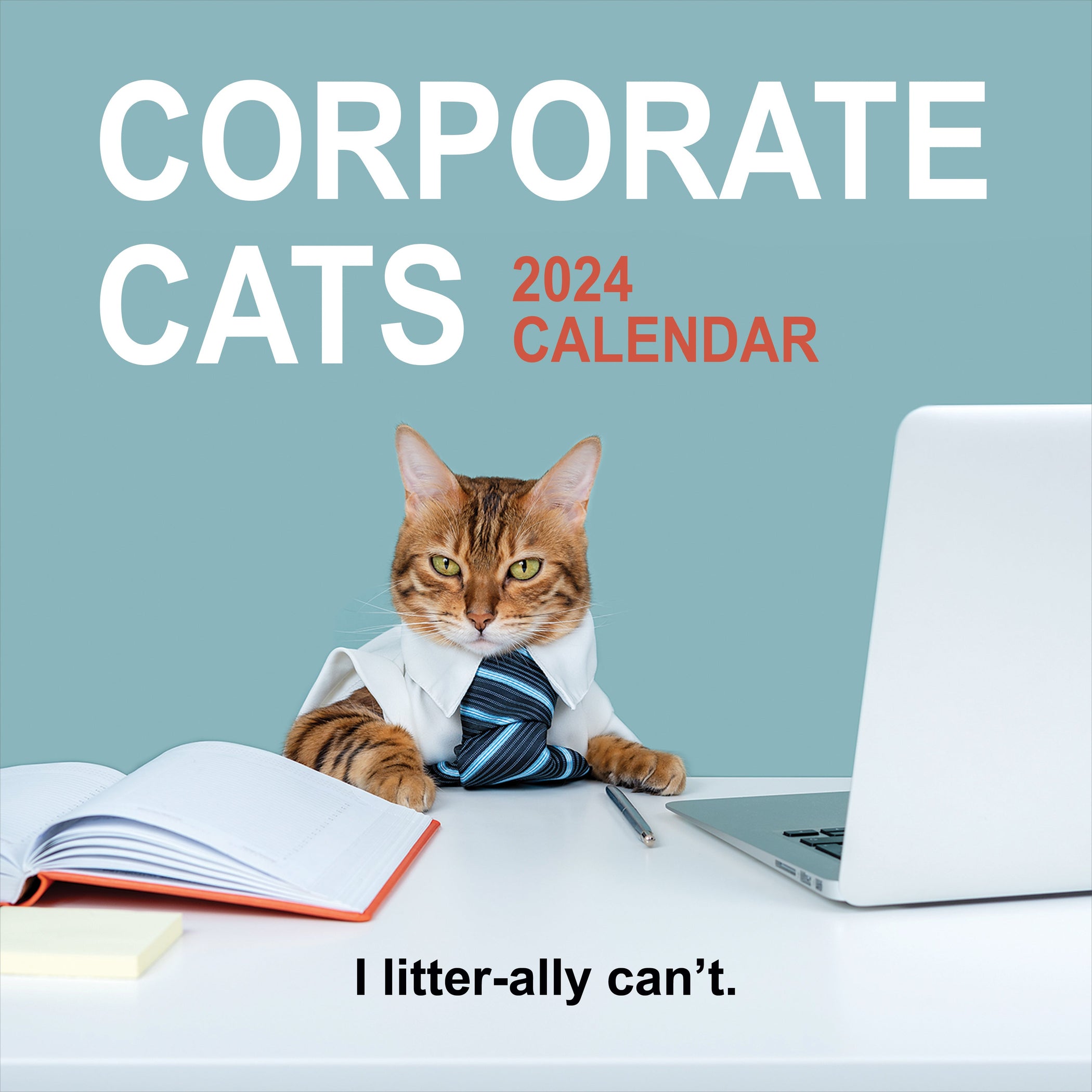 Cat Calendars 2024 Get Your Perfect Cat Calendar Today