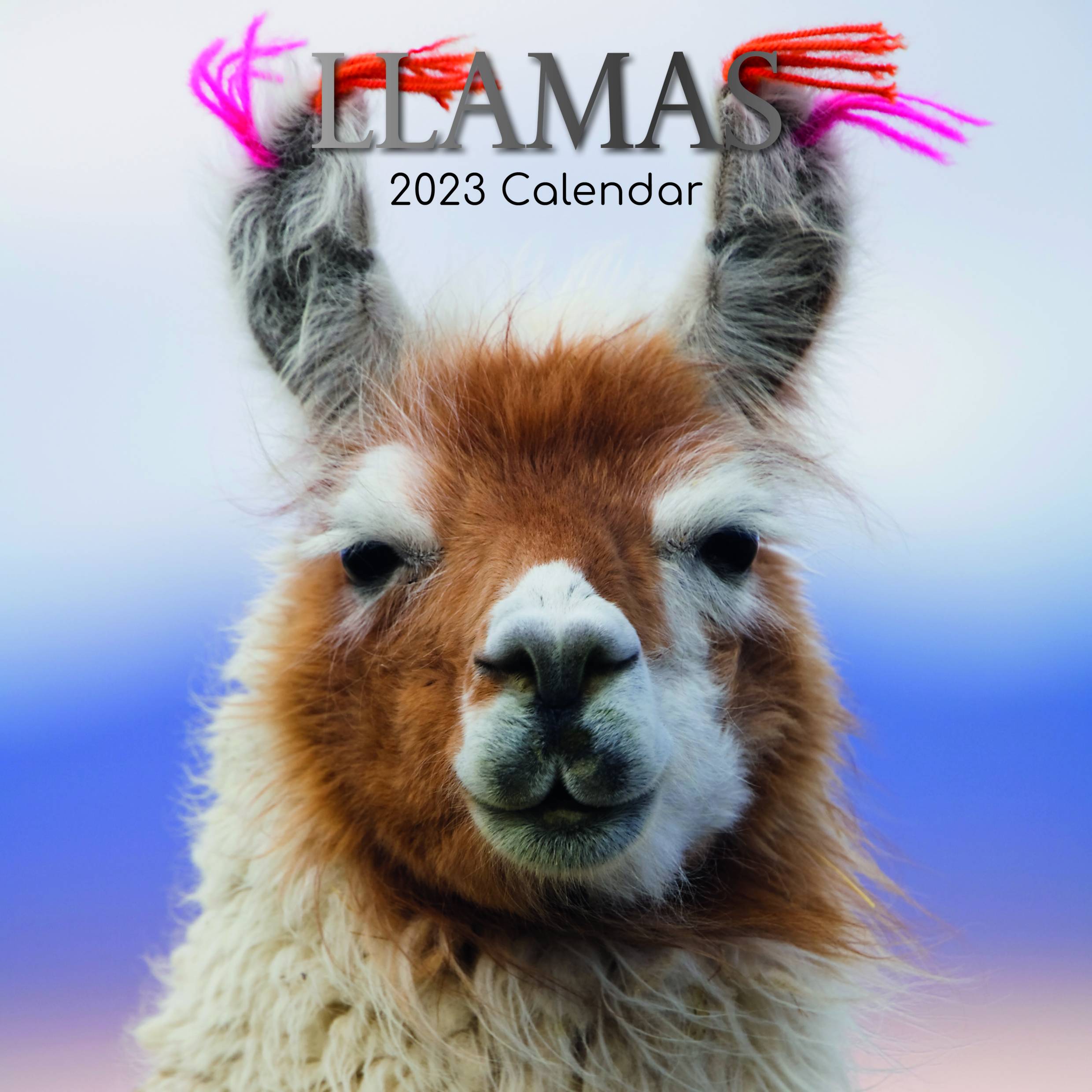 2023 Llamas - Square Wall Calendar
