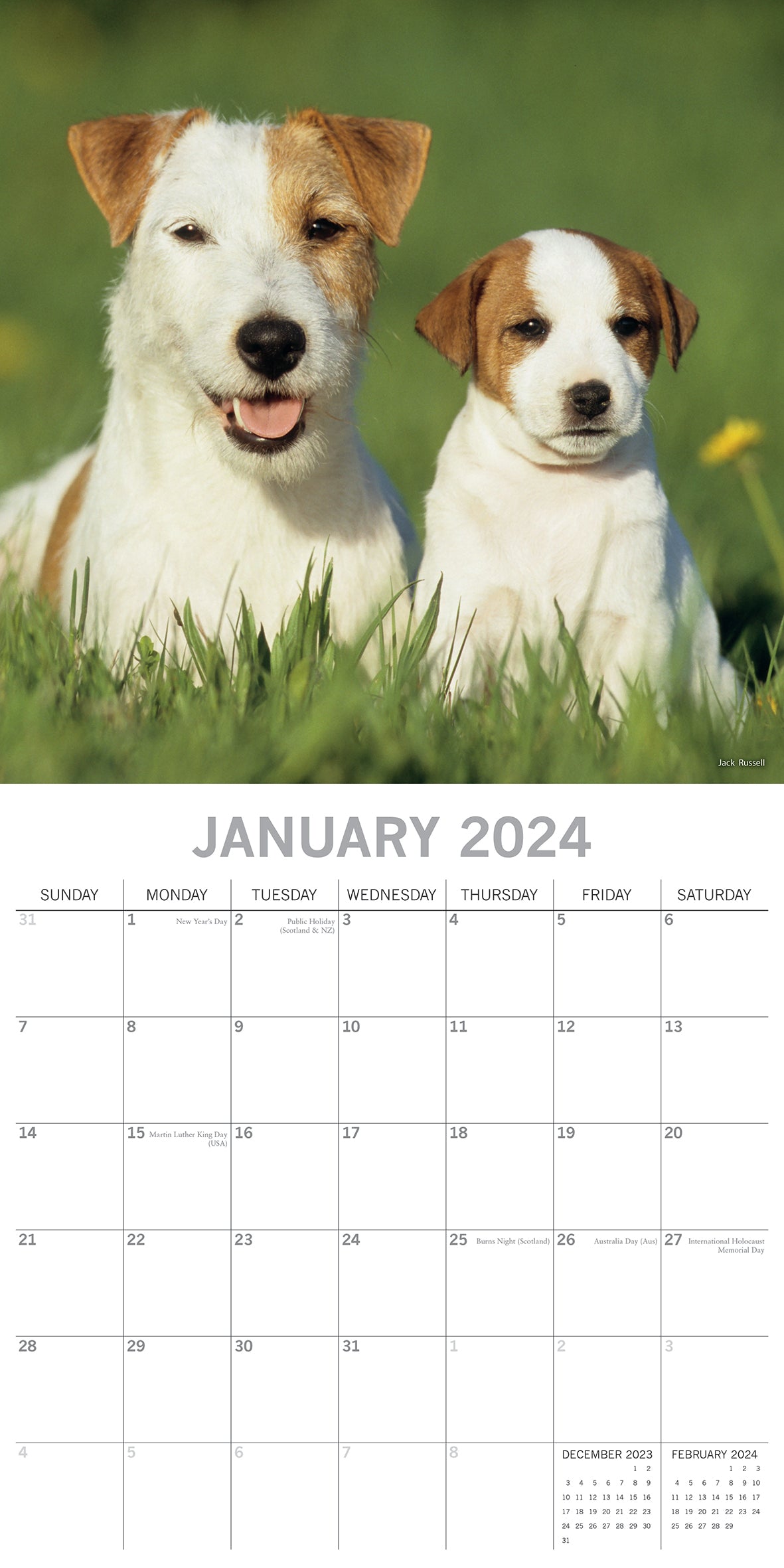 2024 Dogs & Puppies - Square Wall Calendar