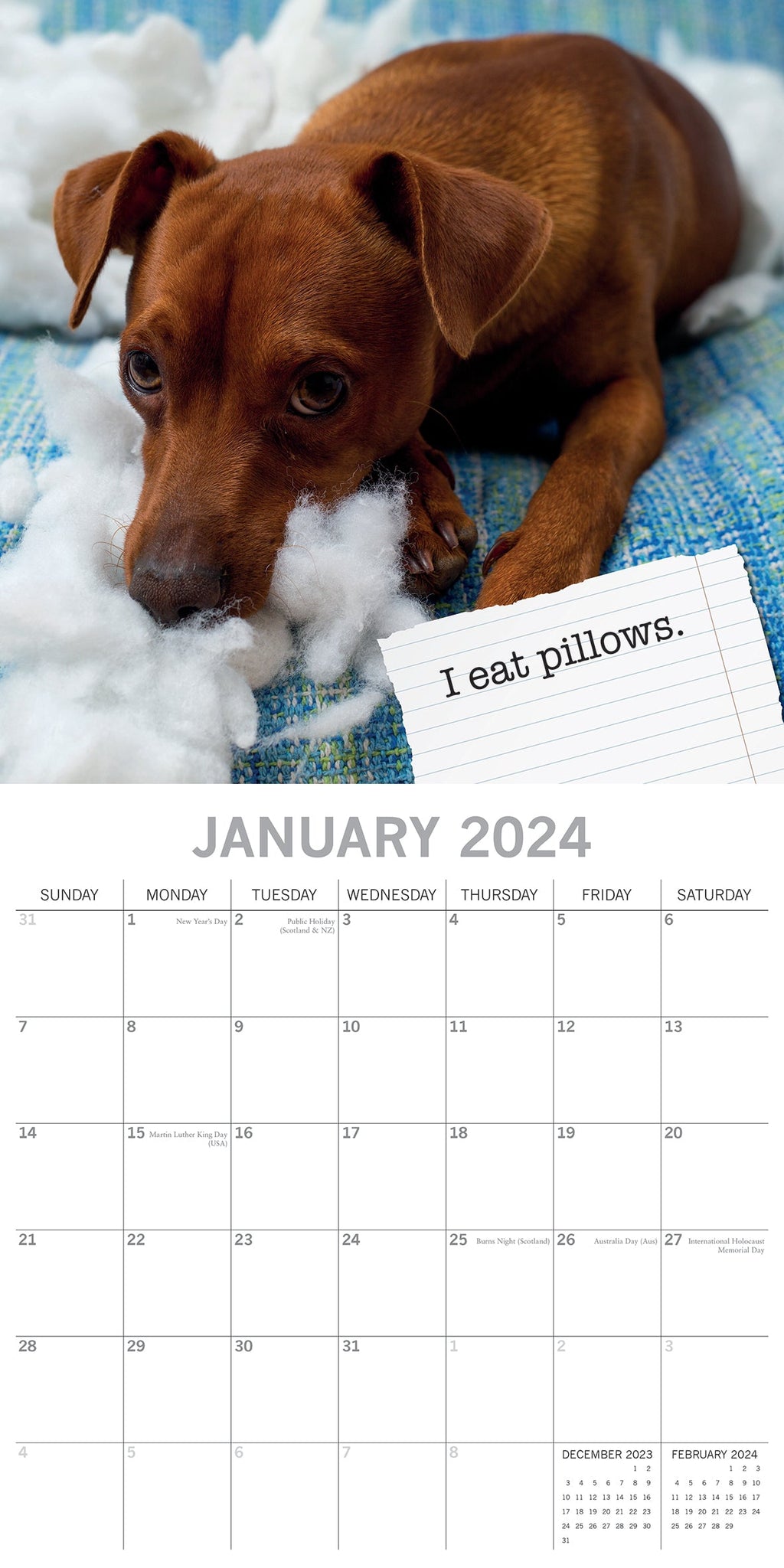 2024 Dog Shaming Square Wall Calendar Dogs & Puppies Calendars by