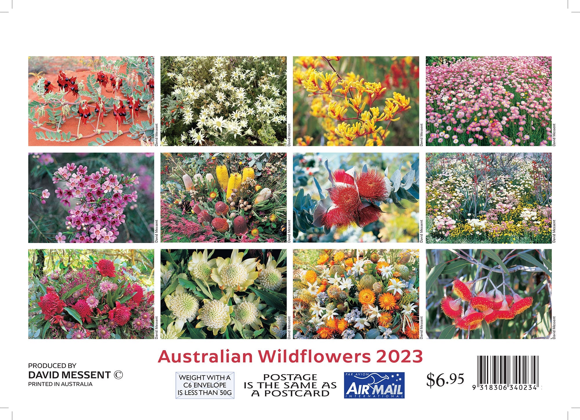 2023 Australian Wildflowers by David Messent - Mini Pocket Calendar
