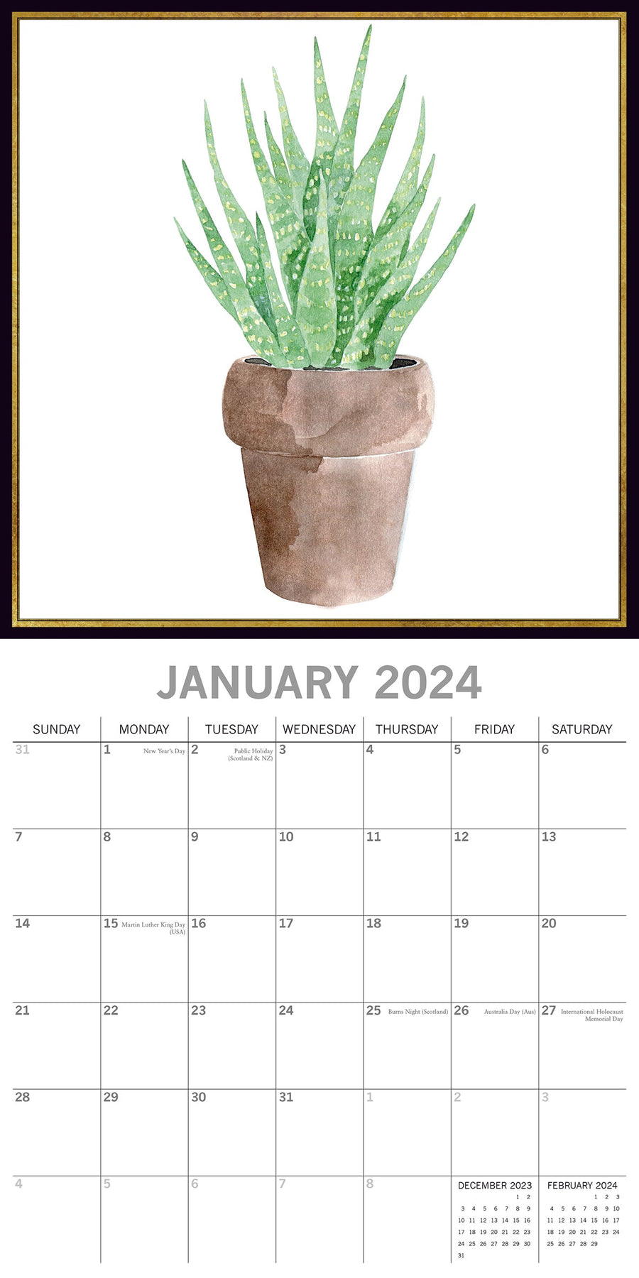 2024 Succulents Square Wall Calendar Art Calendars by The Gifted