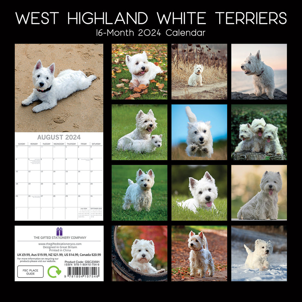 2024 West Highland White Terriers Square Wall Calendar Dogs