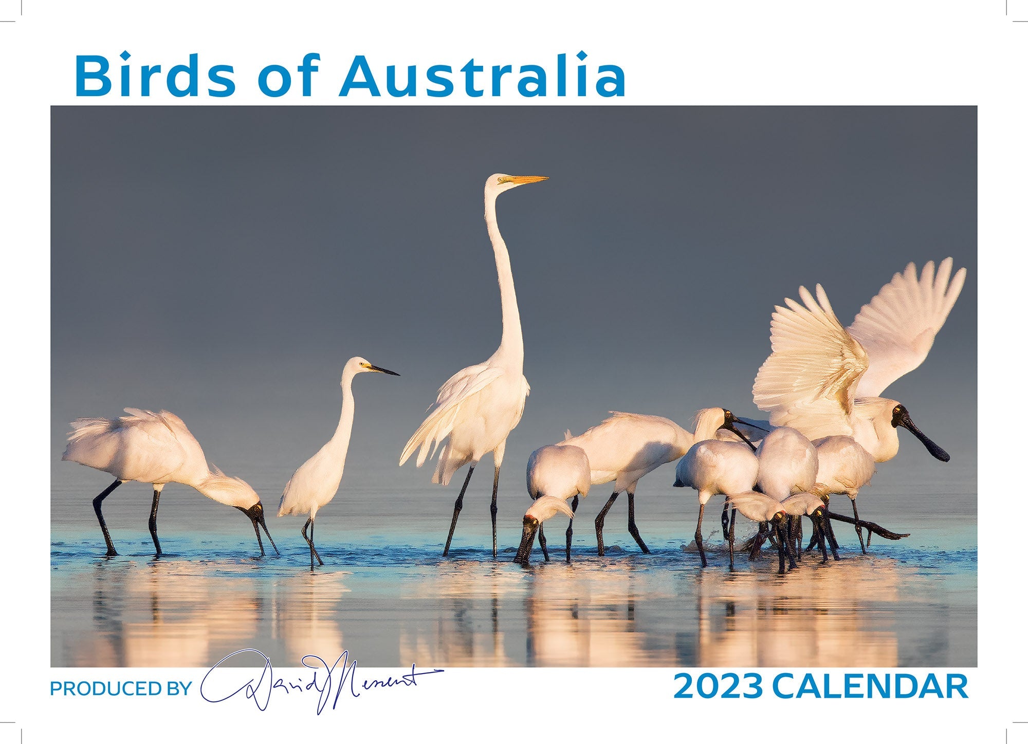 2023 Birds of Australia by David Messent - Horizontal Wall Calendar