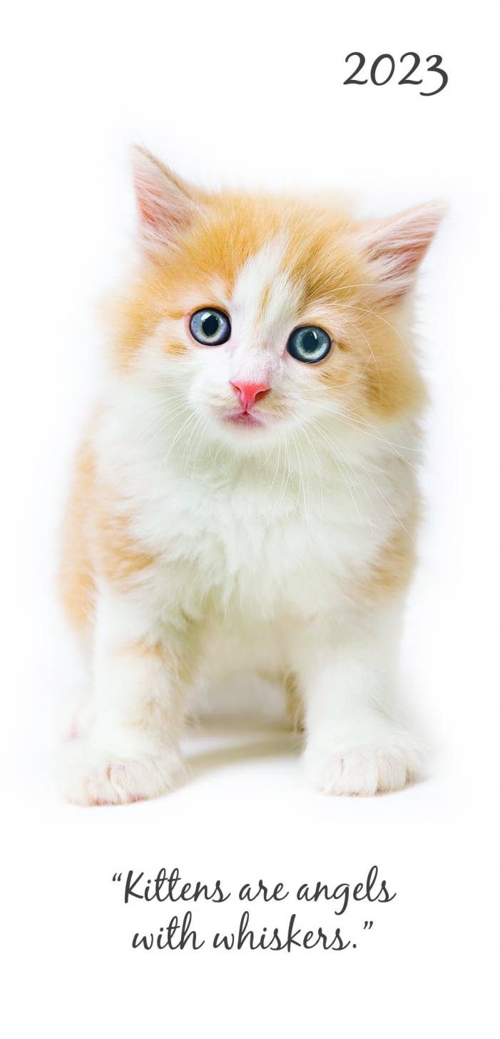 2023 Cute Kittens - Pocket Diary/Planner