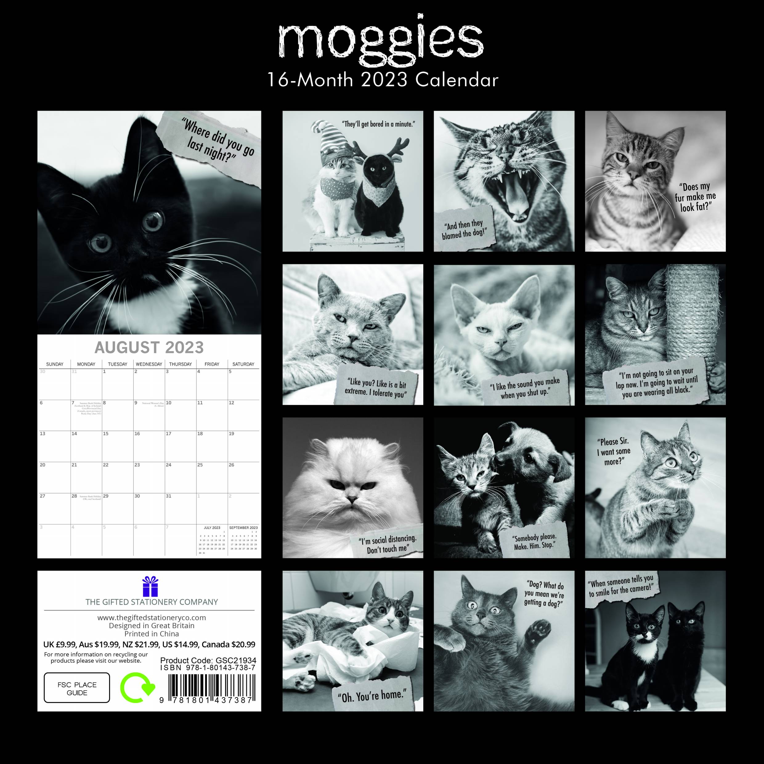 2023 Moggies - Square Wall Calendar