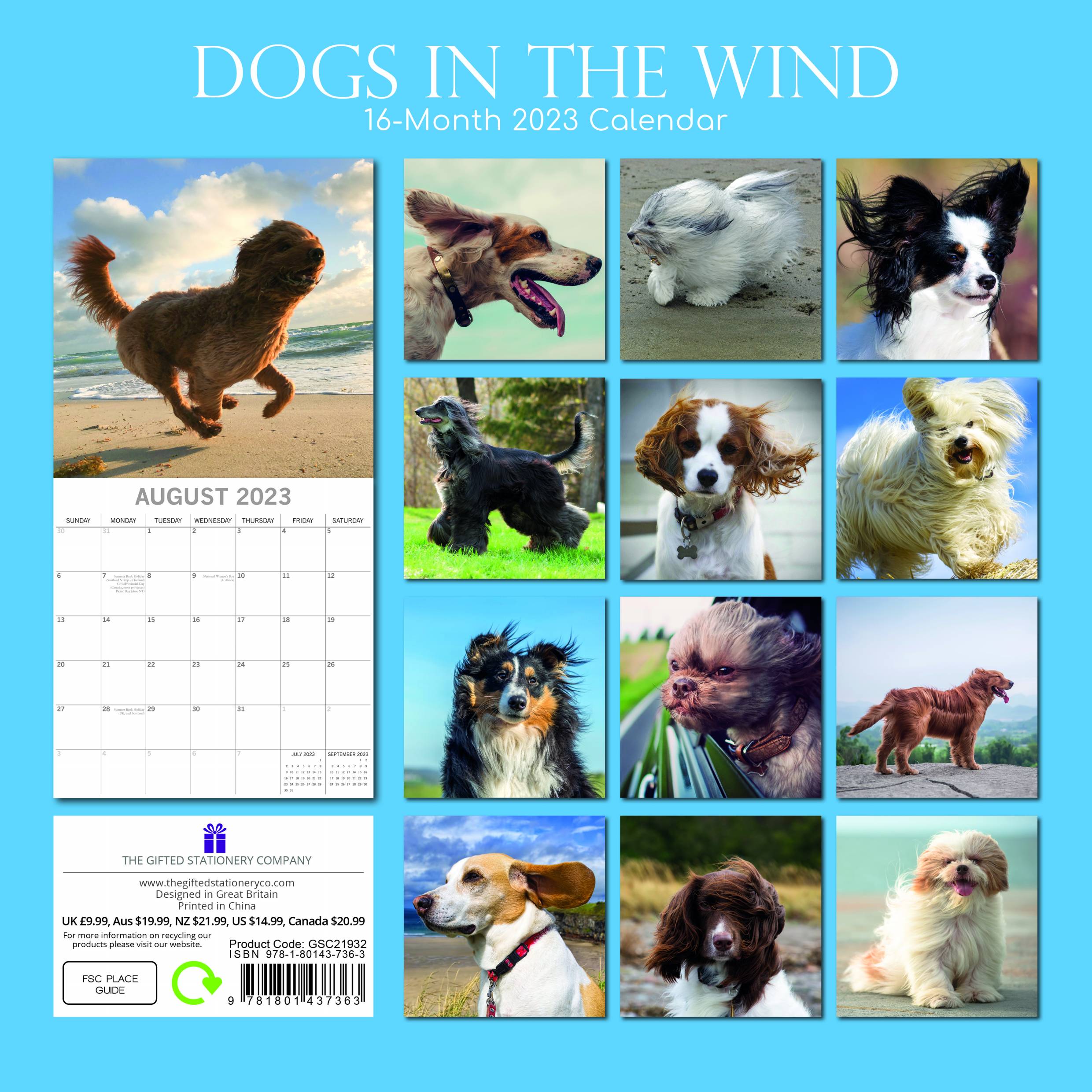2023 Dogs in the Wind - Square Wall Calendar