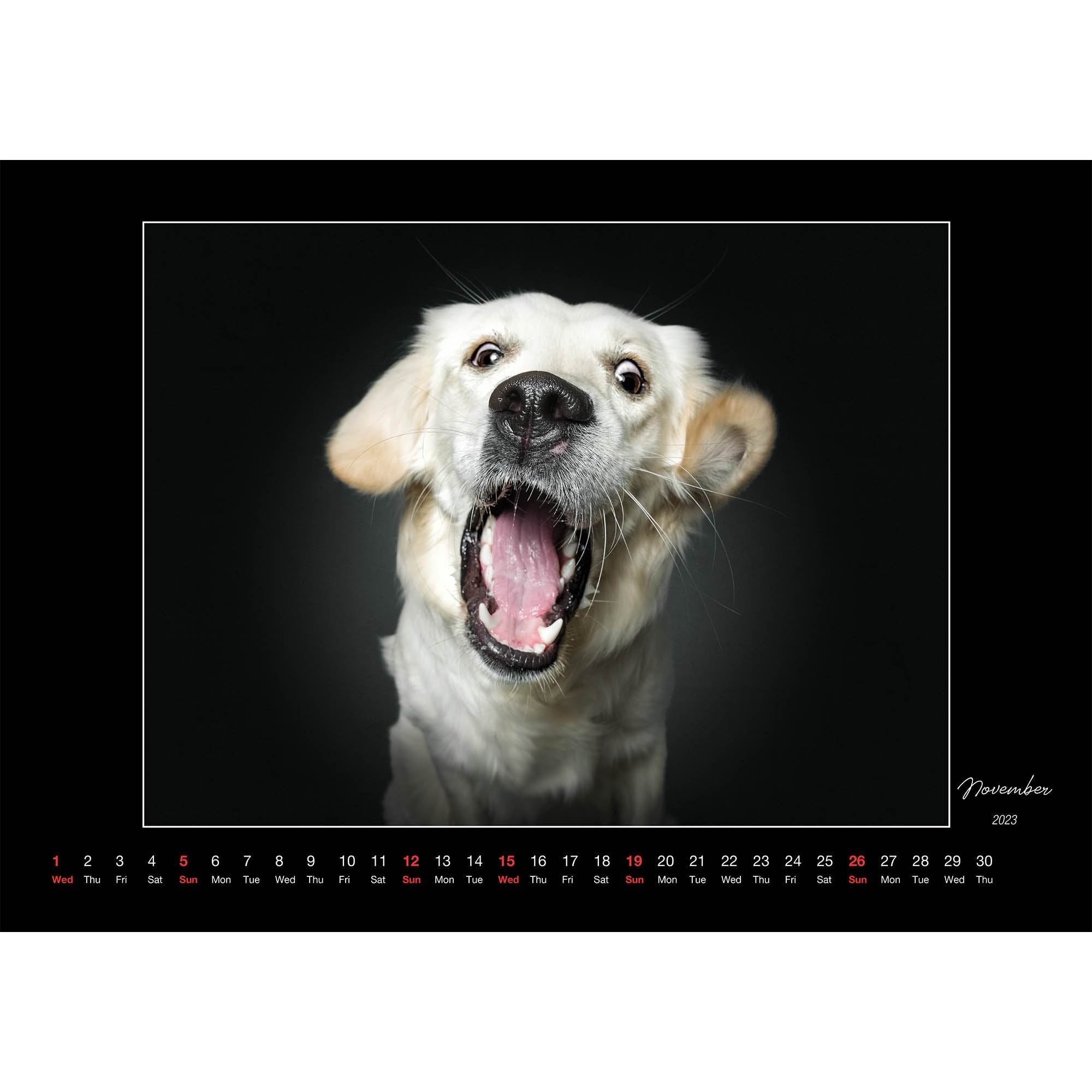 2023 Dogs Catching Treats - Deluxe Wall Calendar