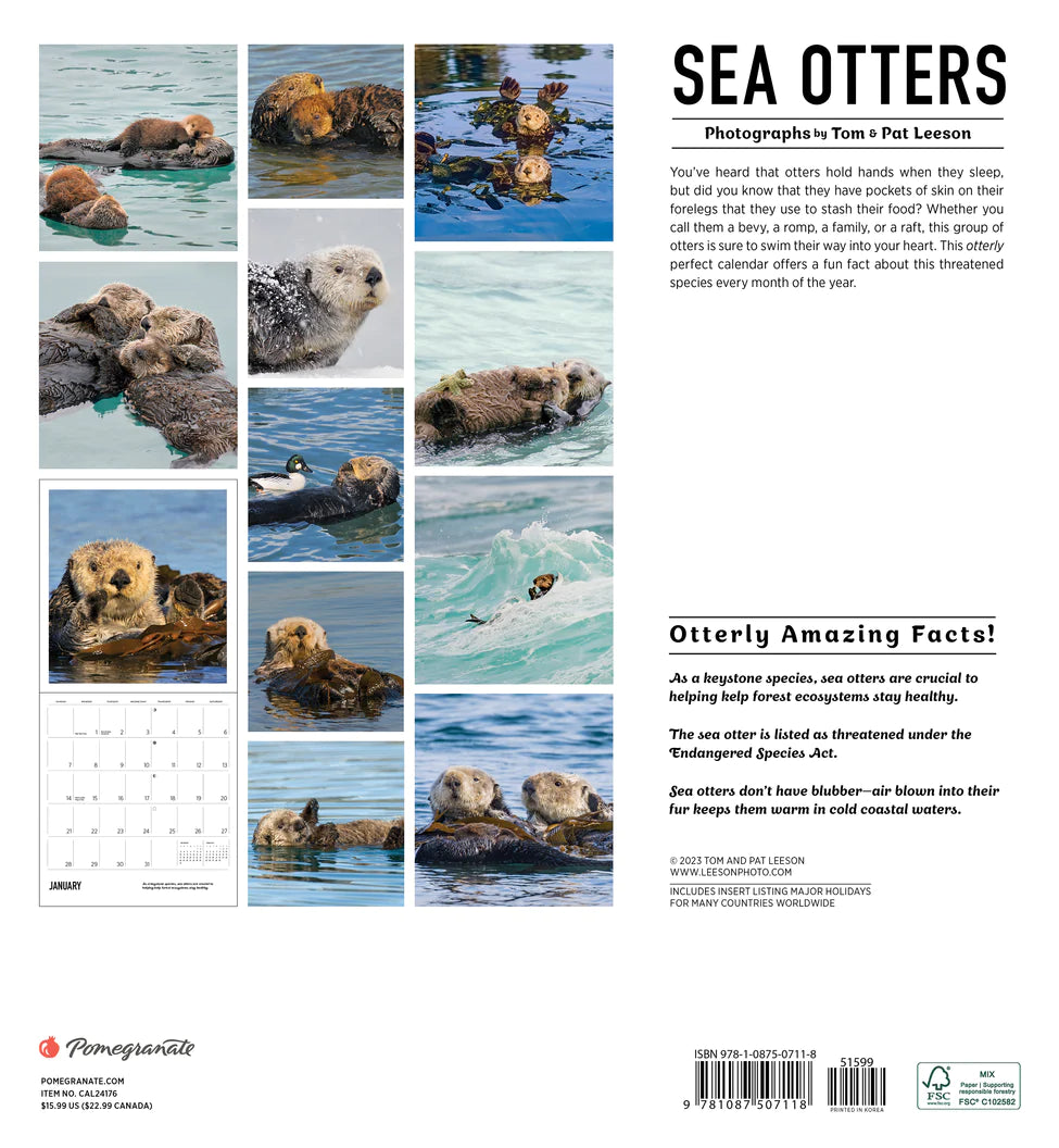 2024 Sea Otters: Photographs by Tom and Pat Leeson - Square Wall Calendar  SOLD OUT