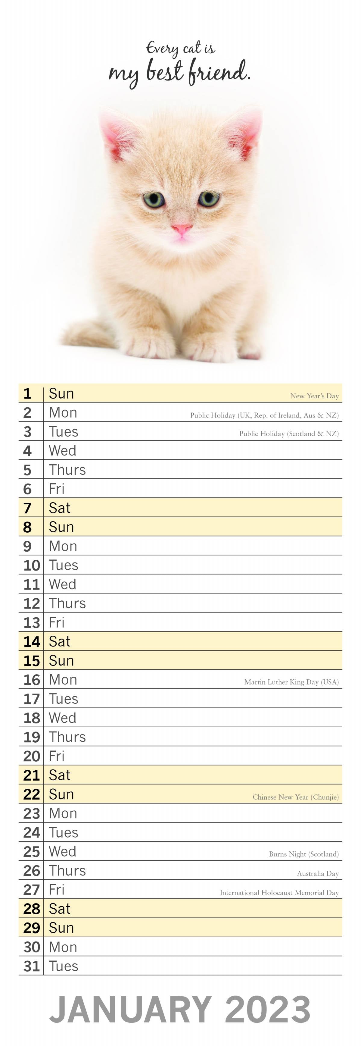 2023 Cute Kittens - Slim Wall Calendar