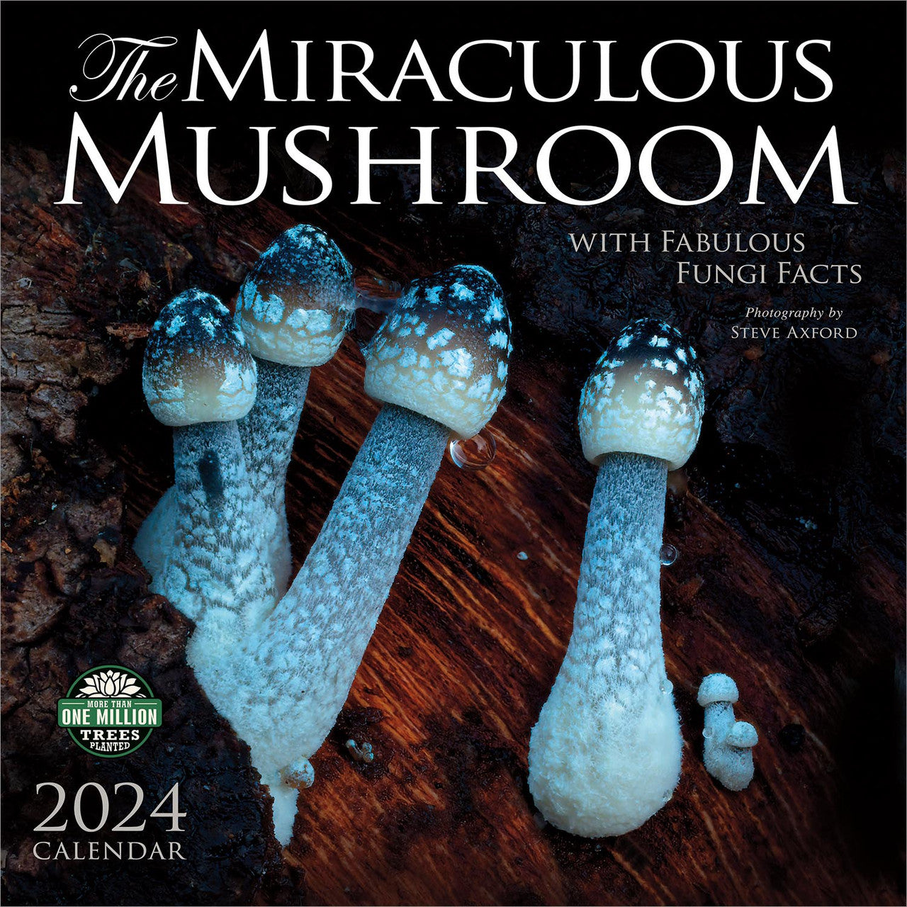 2024 Miraculous Mushroom - Square Wall Calendar  SOLD OUT