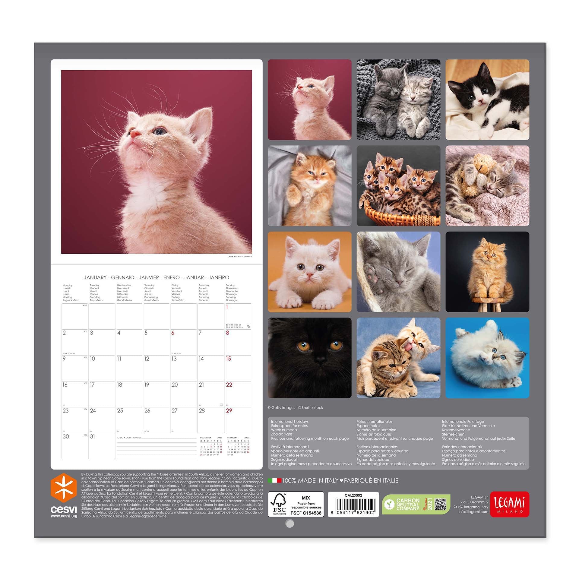 2023 Kittens - Square Wall Calendar
