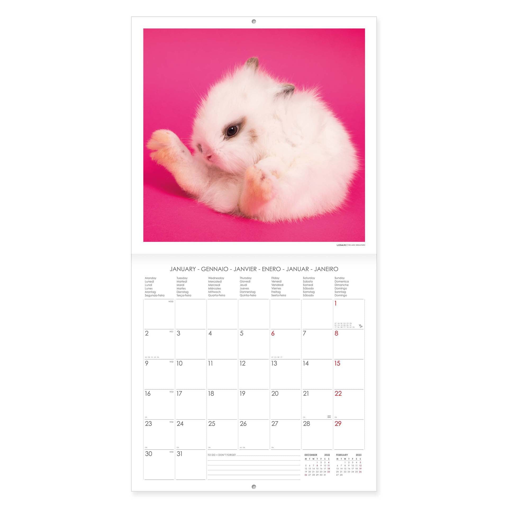 2023 Honey Bunny - Square Wall Calendar