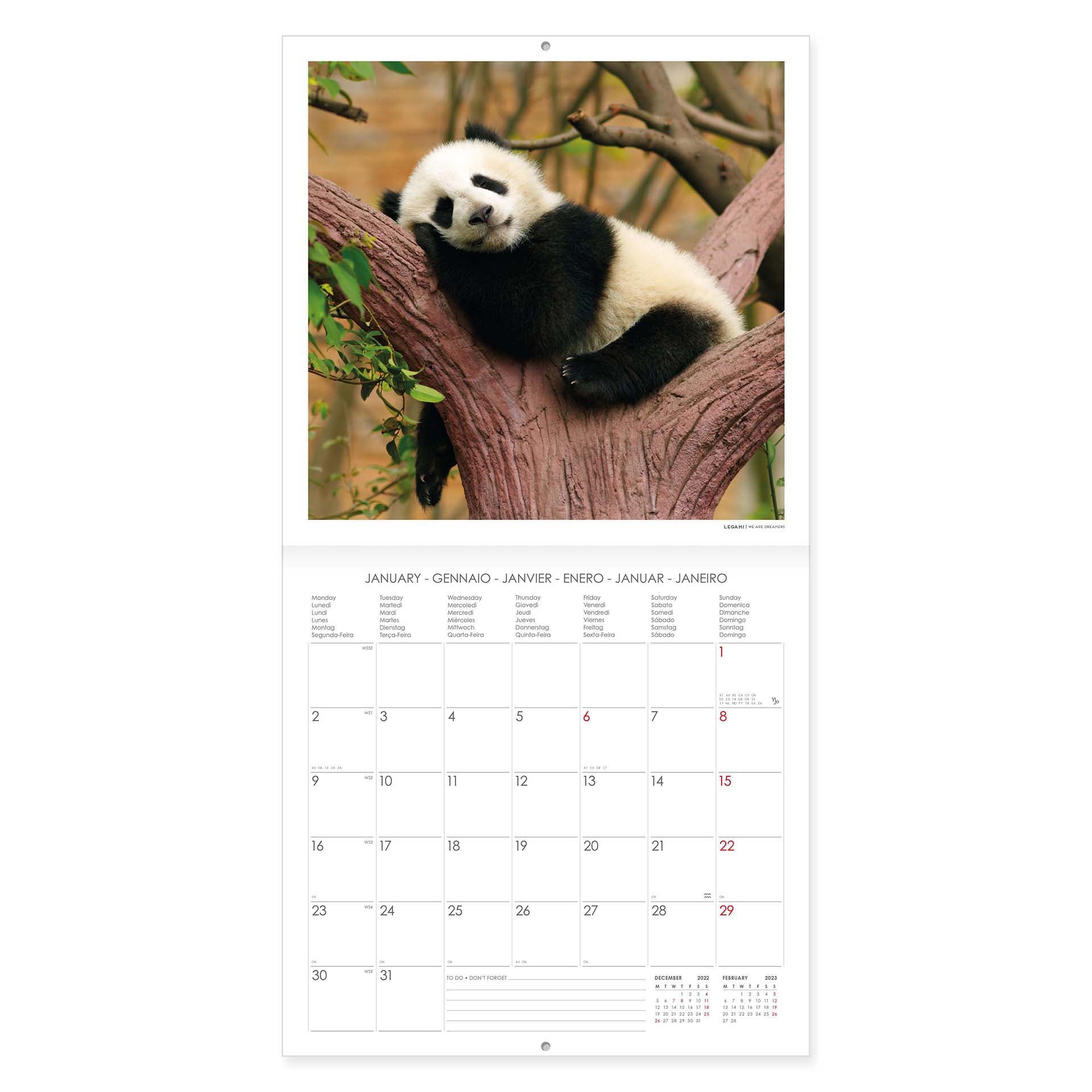 2023 Lovely Pandas - Square Wall Calendar