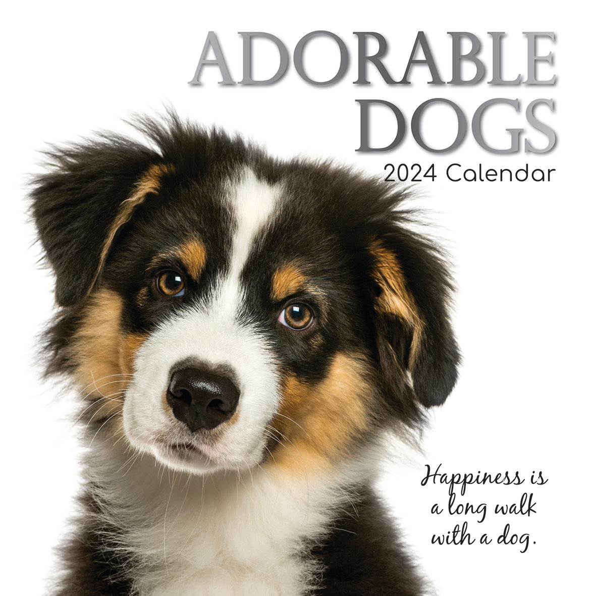 2024 Adorable Dogs Square Wall Calendar Dogs & Puppies Calendars