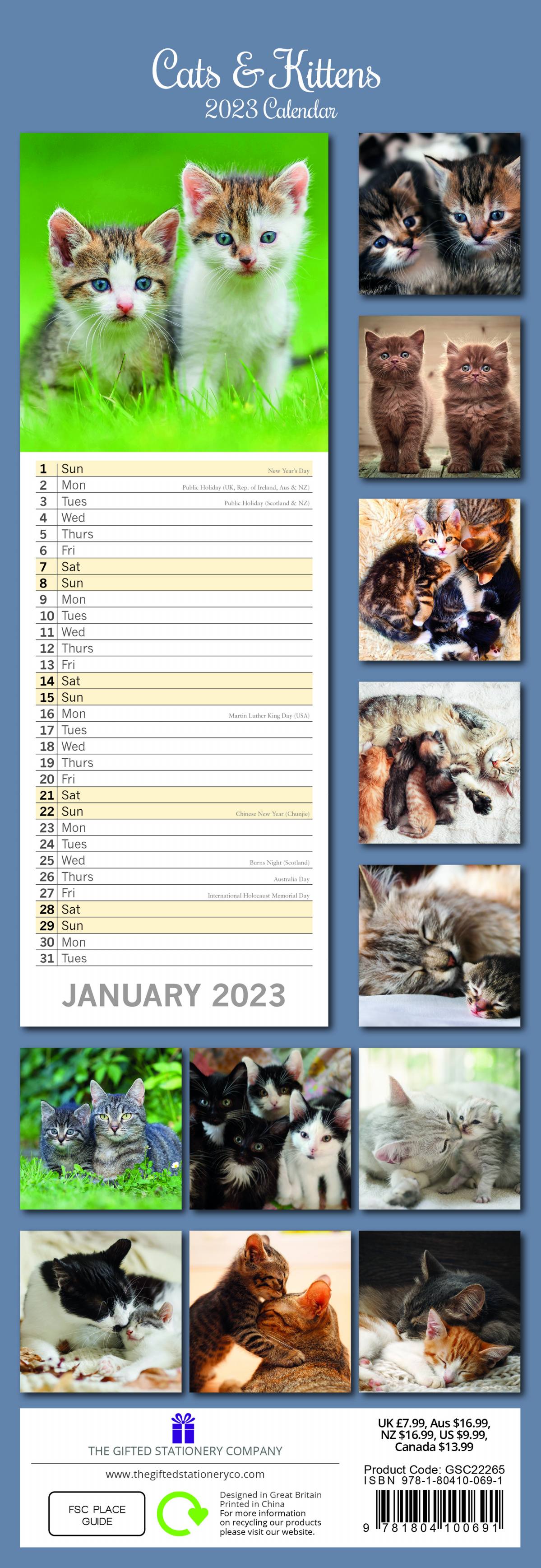 2023 Cats & Kittens - Slim Wall Calendar