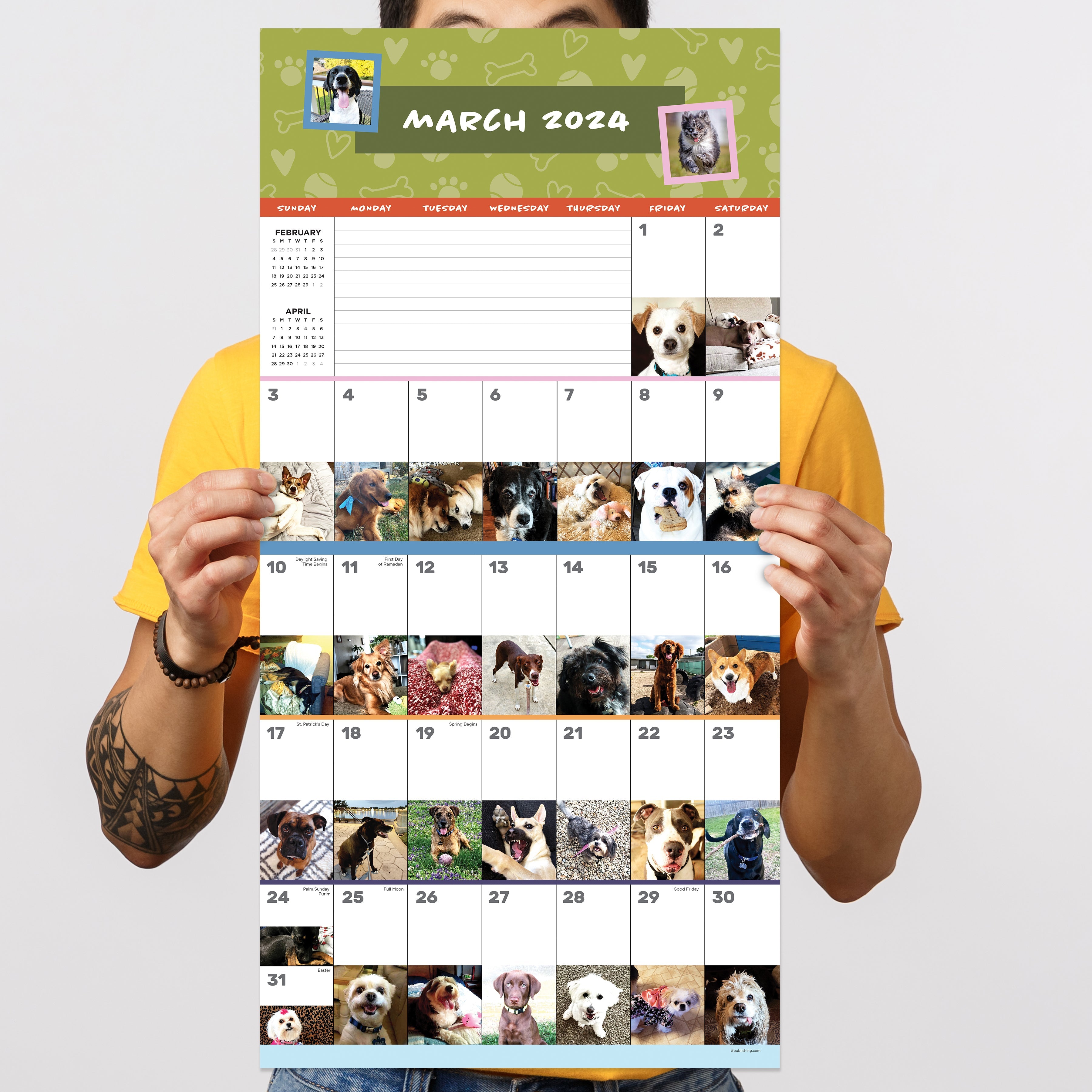 2024 Dog-A-Day - Square Wall Calendar
