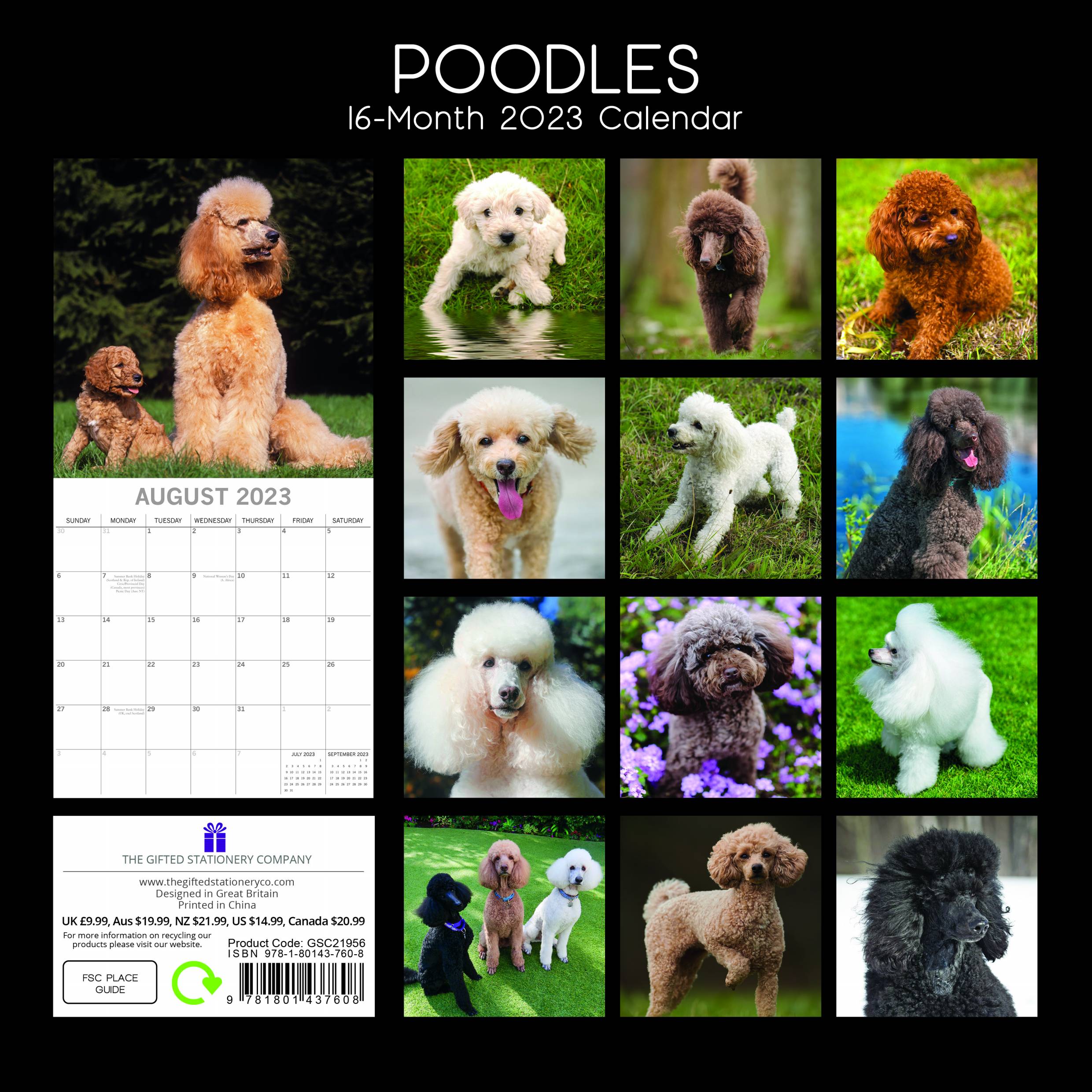 2023 Poodles - Square Wall Calendar