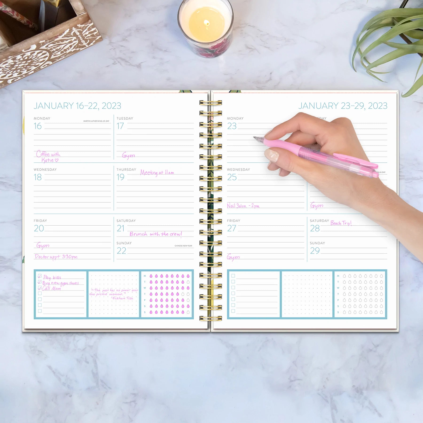 2023 Lemon Tree by Cassidy Demkov (XL Spiral Weekly/Monthly Planner) - Diary/Planner