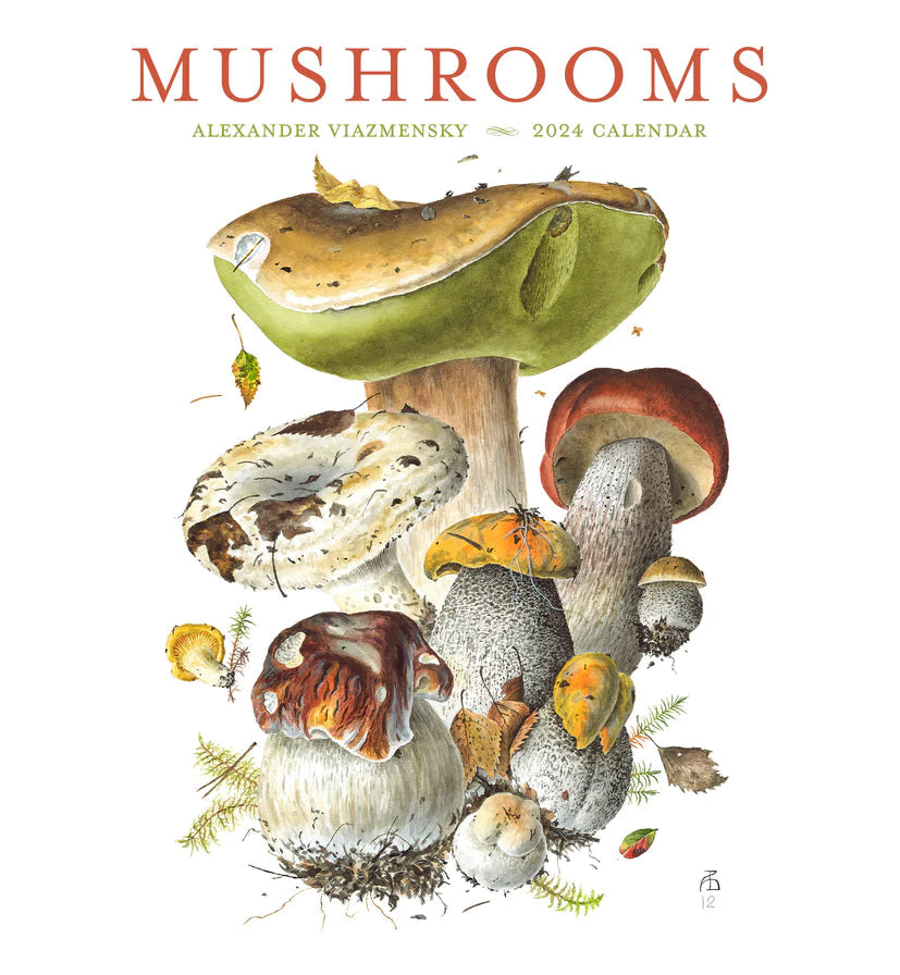 2024 Mushrooms: Alexander Viazmensky - Square Wall Calendar  SOLD OUT