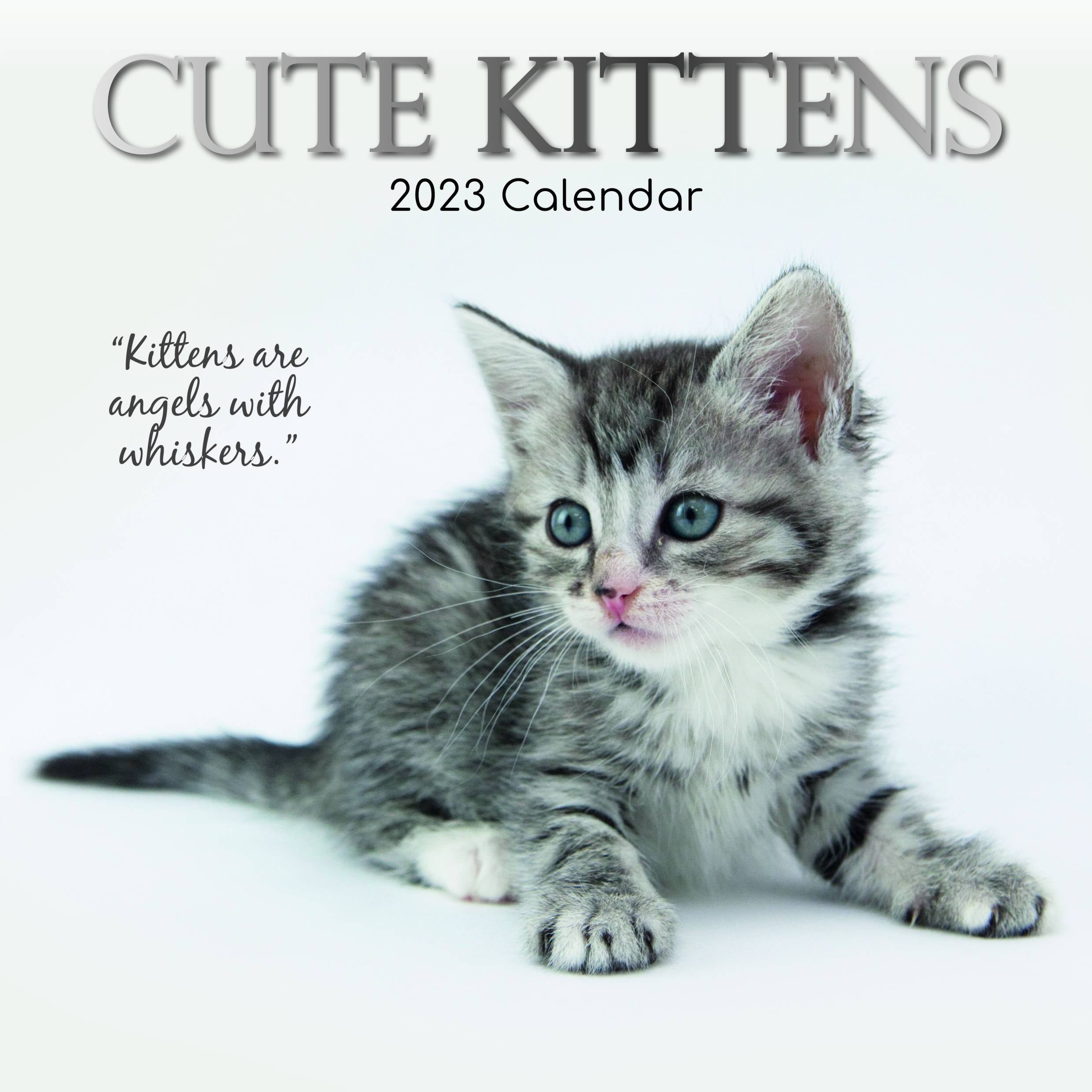 2023 Cute Kittens - Square Wall Calendar