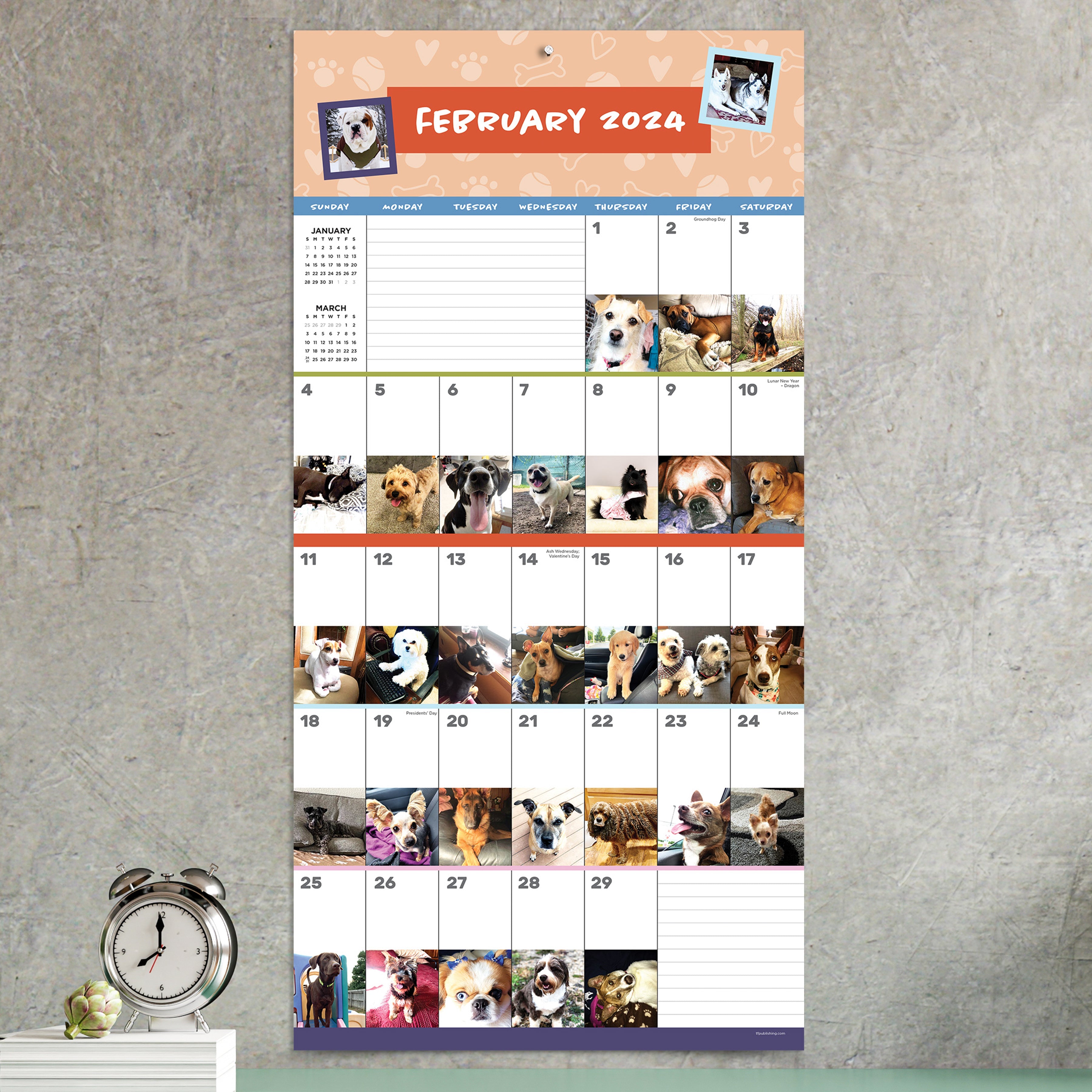 2024 Dog-A-Day - Square Wall Calendar