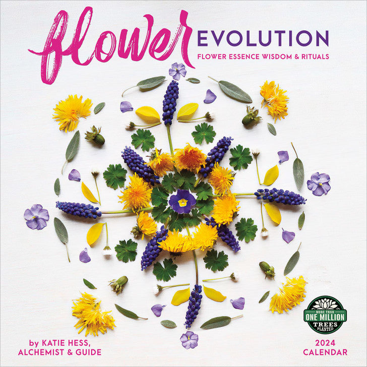 2024 Flower Evolution Square Wall Calendar Sceneries Flowers   A529736155267c67d7c5330acd0b3a5d 