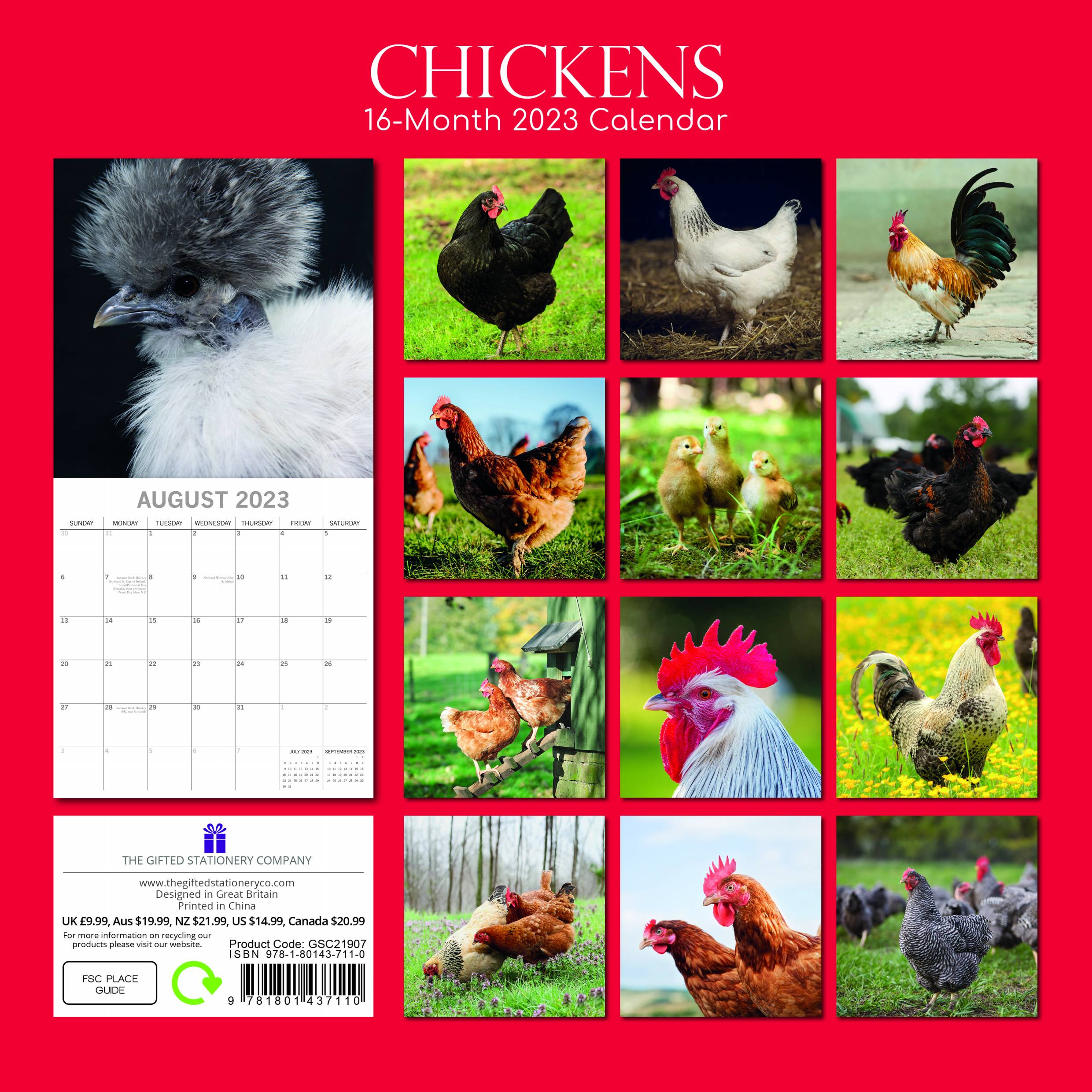 2023 Chickens - Square Wall Calendar